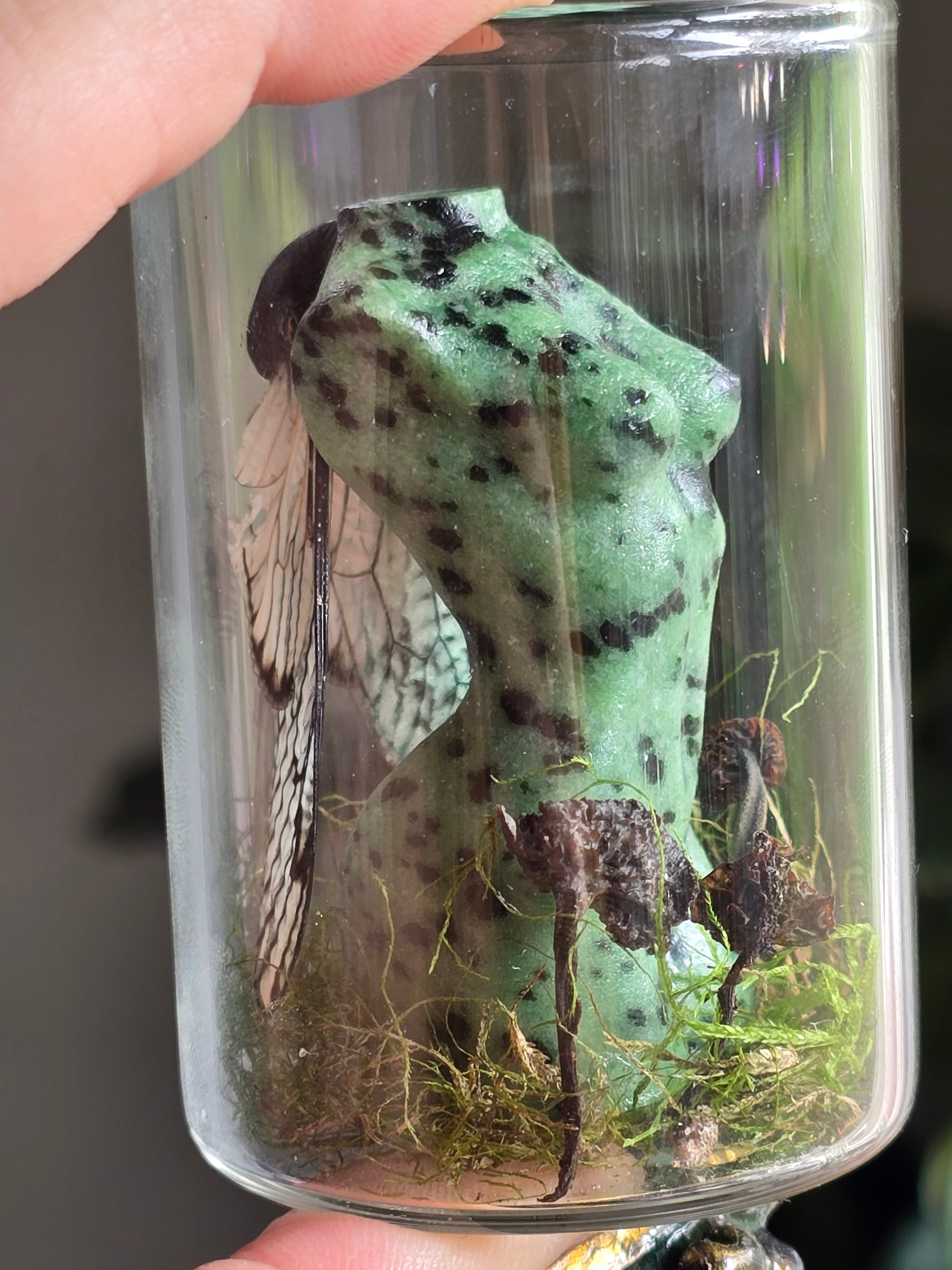Zephyra, Fairy in a Jar