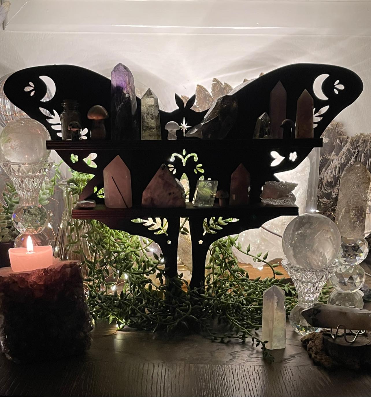 Wooden Moth Light Shelf | Wall Hanging | Crystal Collection | Gift Idea