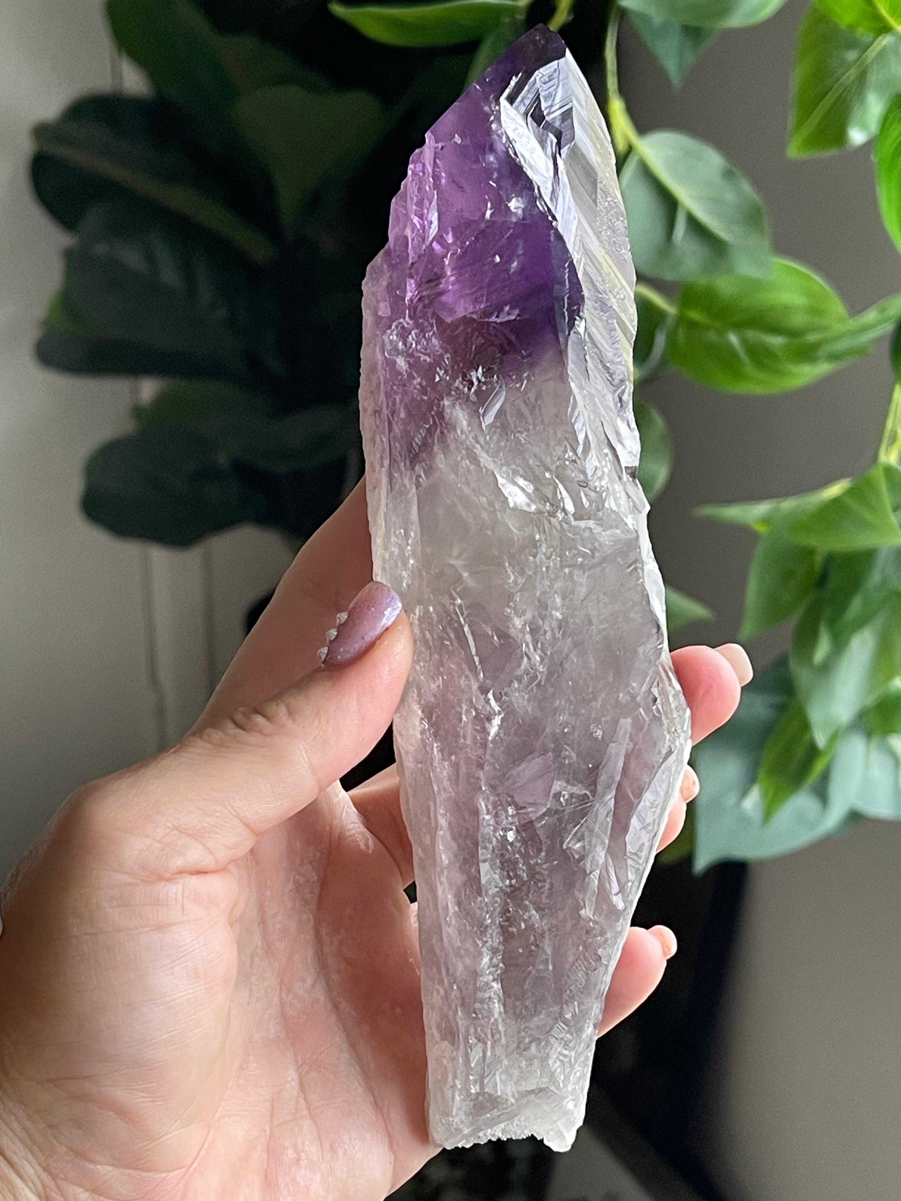 Massive Raw Natural Amethyst Tooth