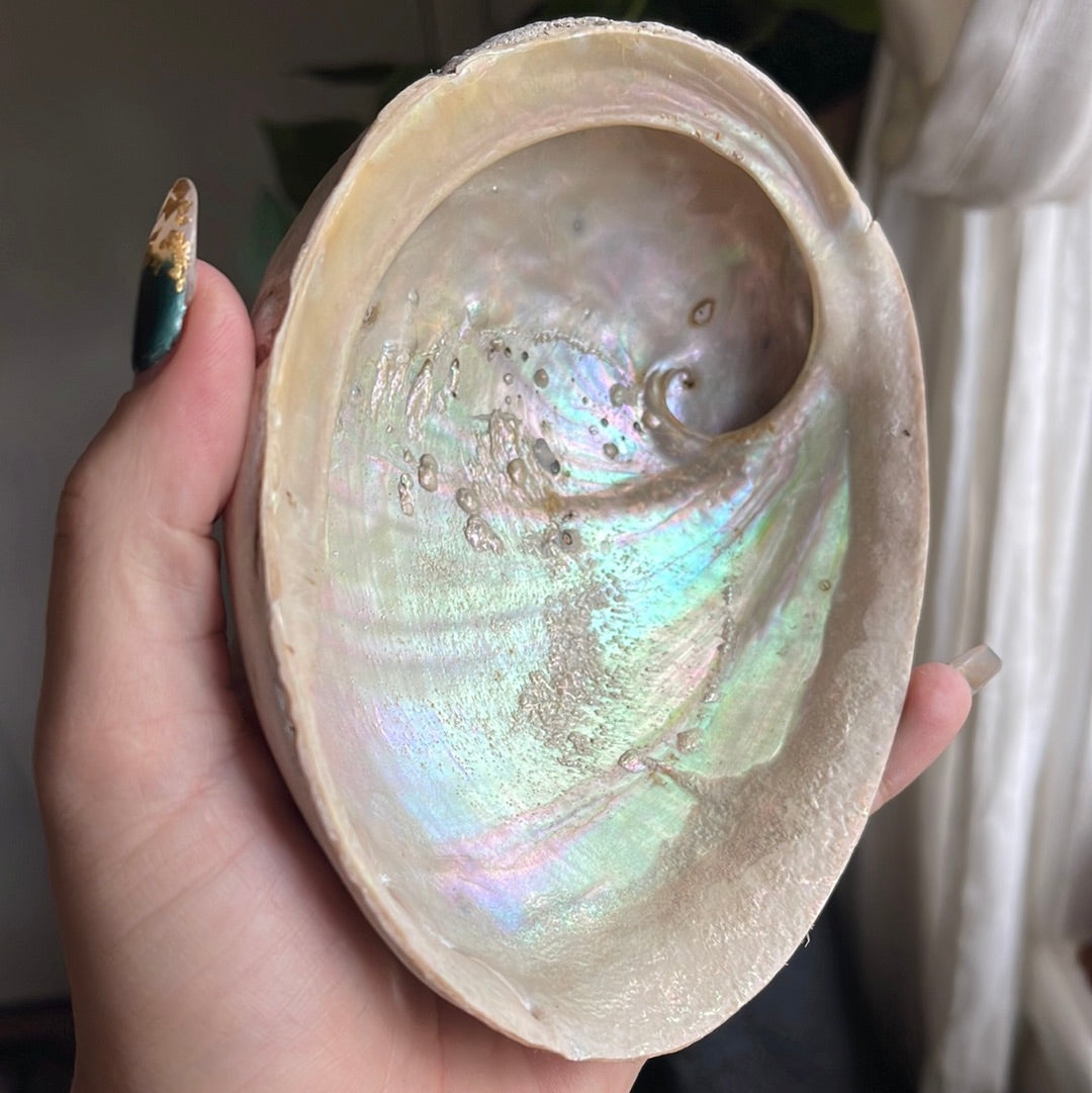 Iridescent Shell Bowl โ Damsel in this Dress