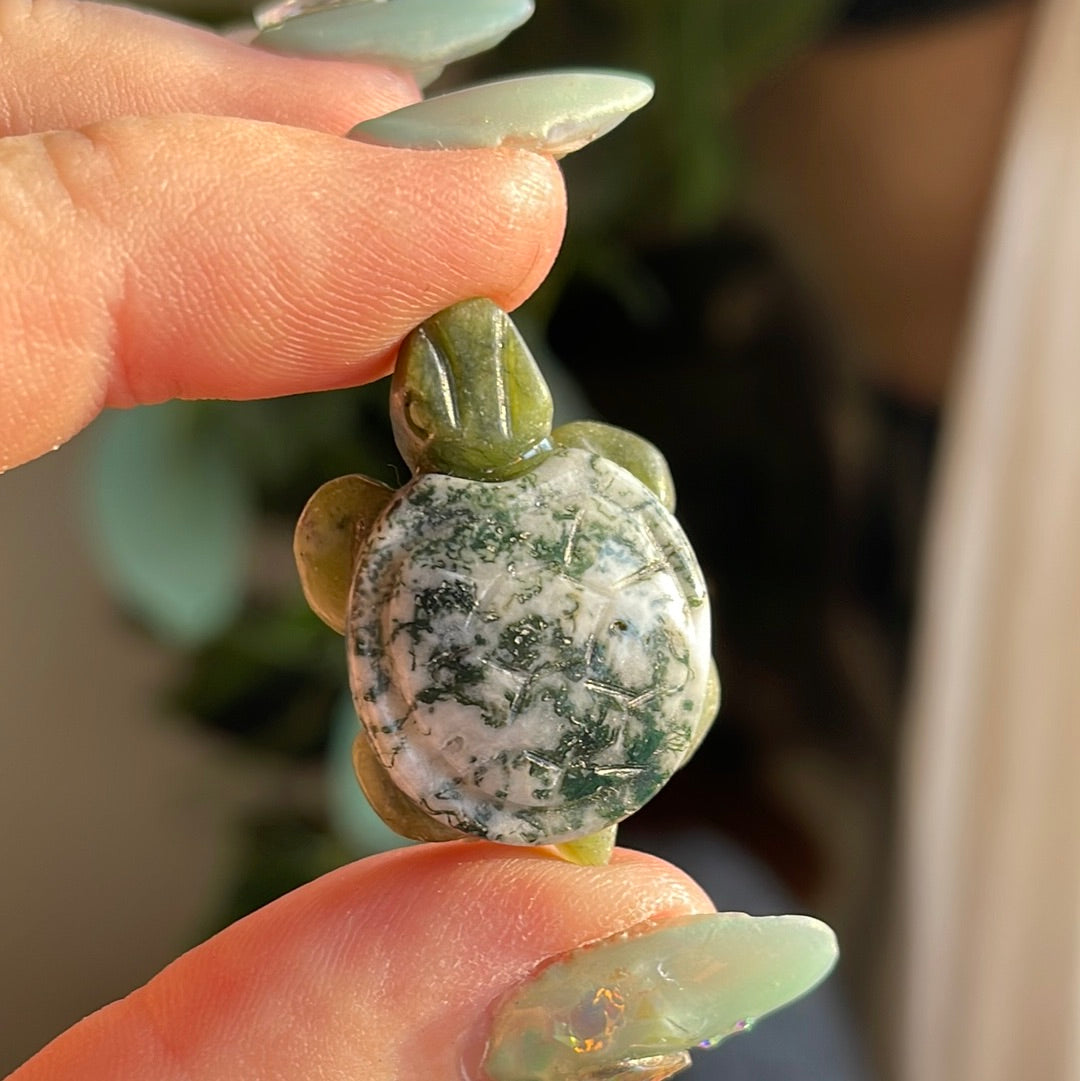 Mini Turtle Carving | Different Stones Available