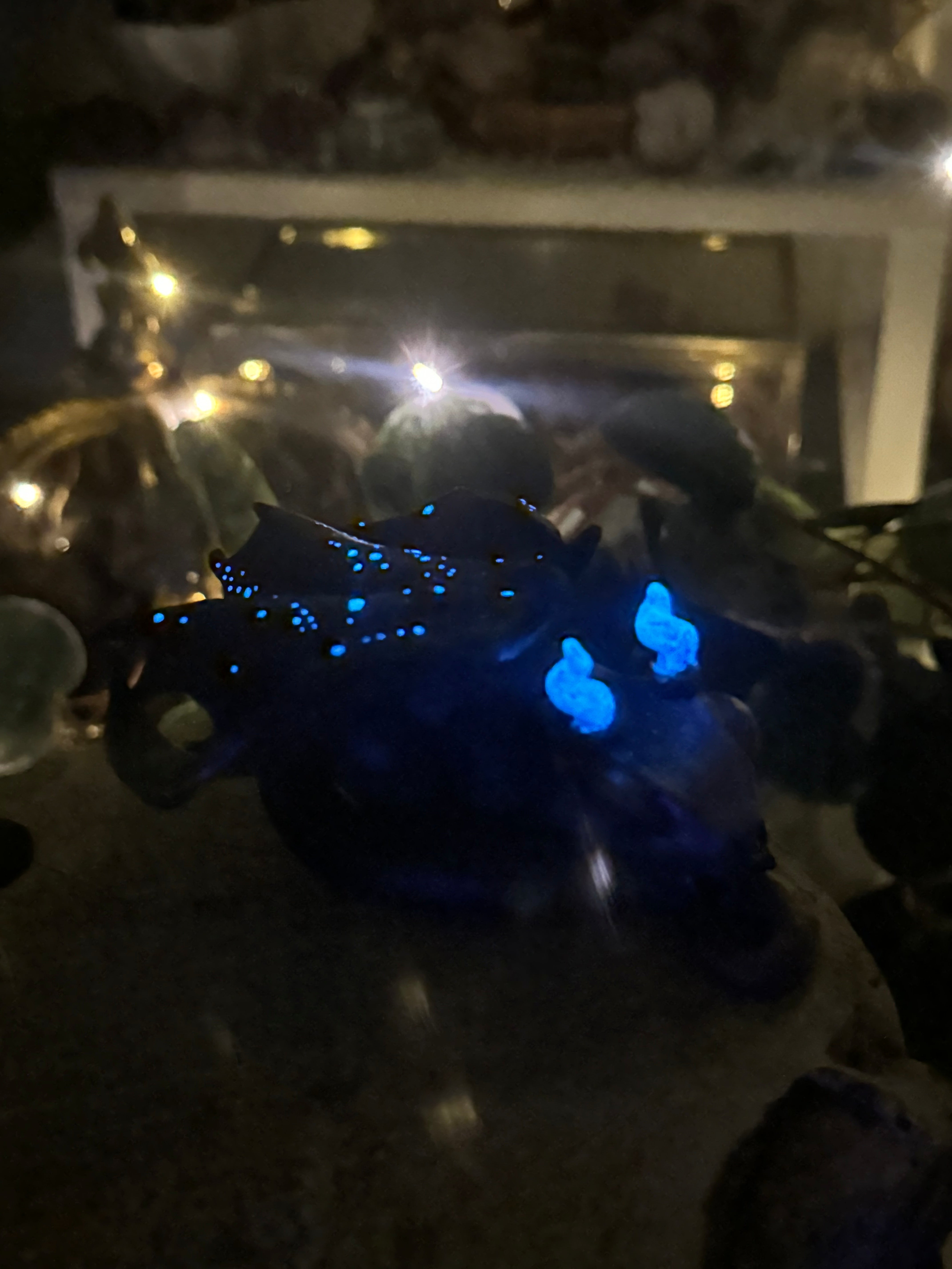 Astraeus Baby Galaxy Dragon & Crystal & Moss Bed