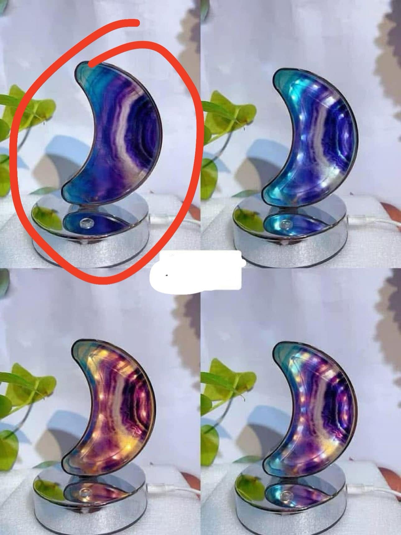 Veronica pre order part 2