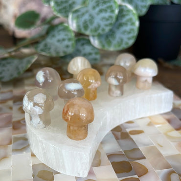 Mini Flower Agate Mushroom 🍄