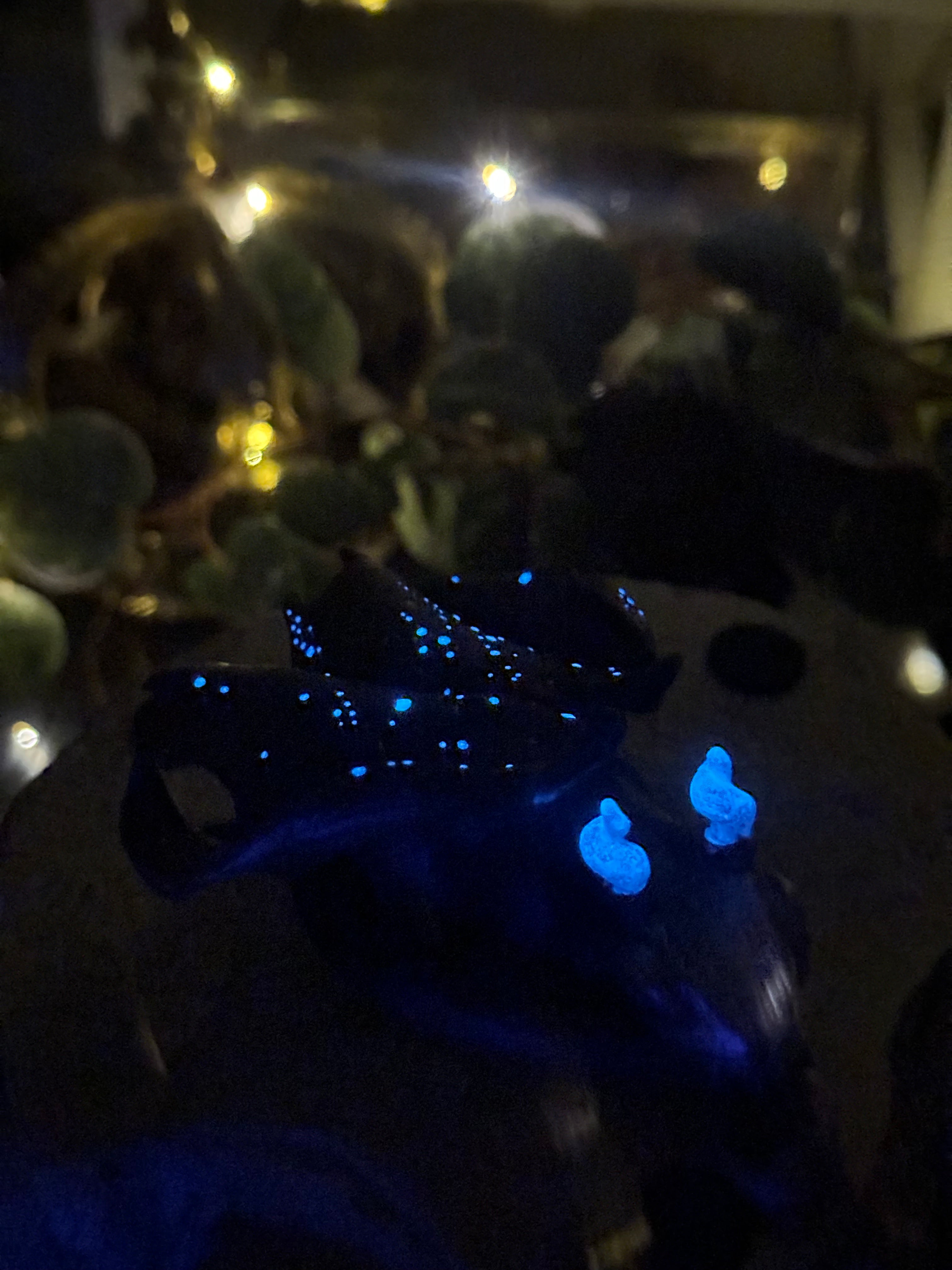 Astraeus Baby Galaxy Dragon & Crystal & Moss Bed