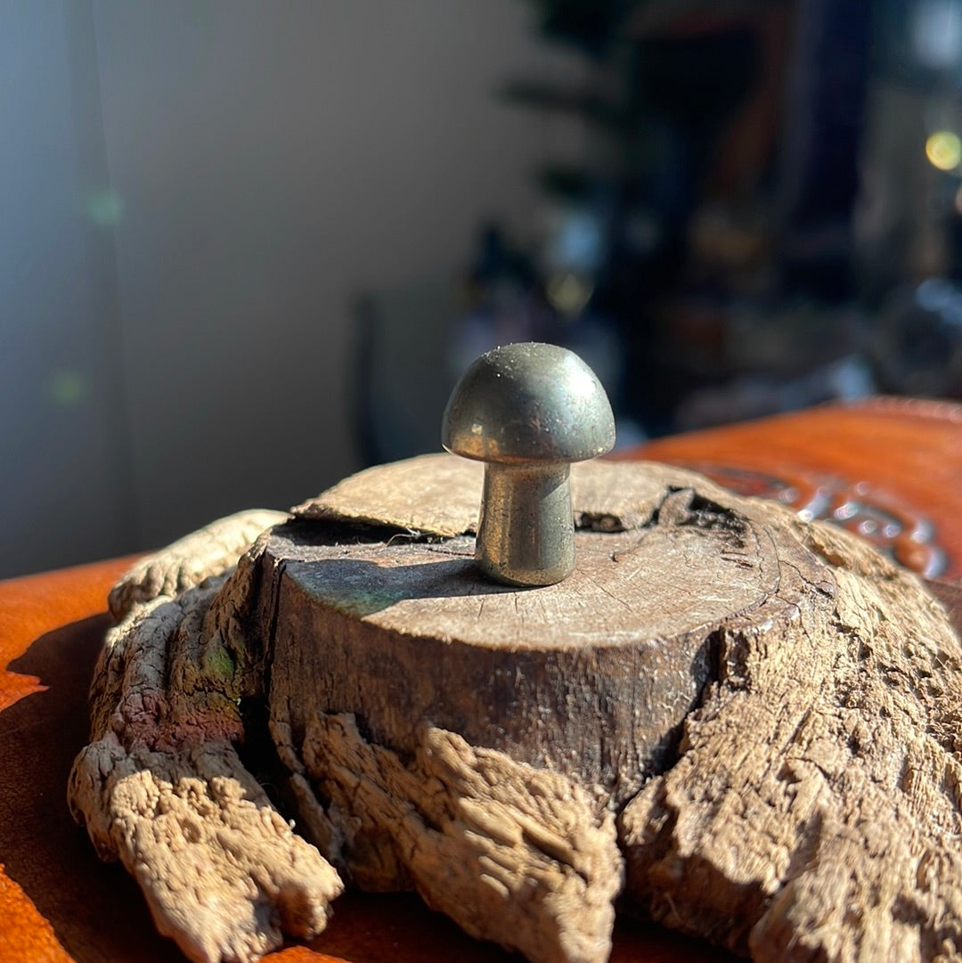 Mini Pyrite Mushroom 🍄