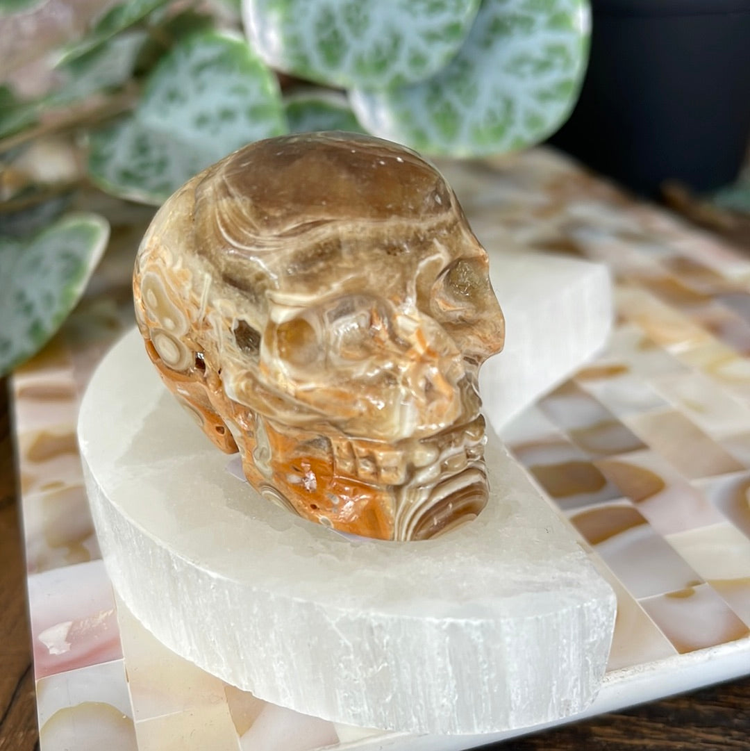 Chocolate Calcite Skull Carving