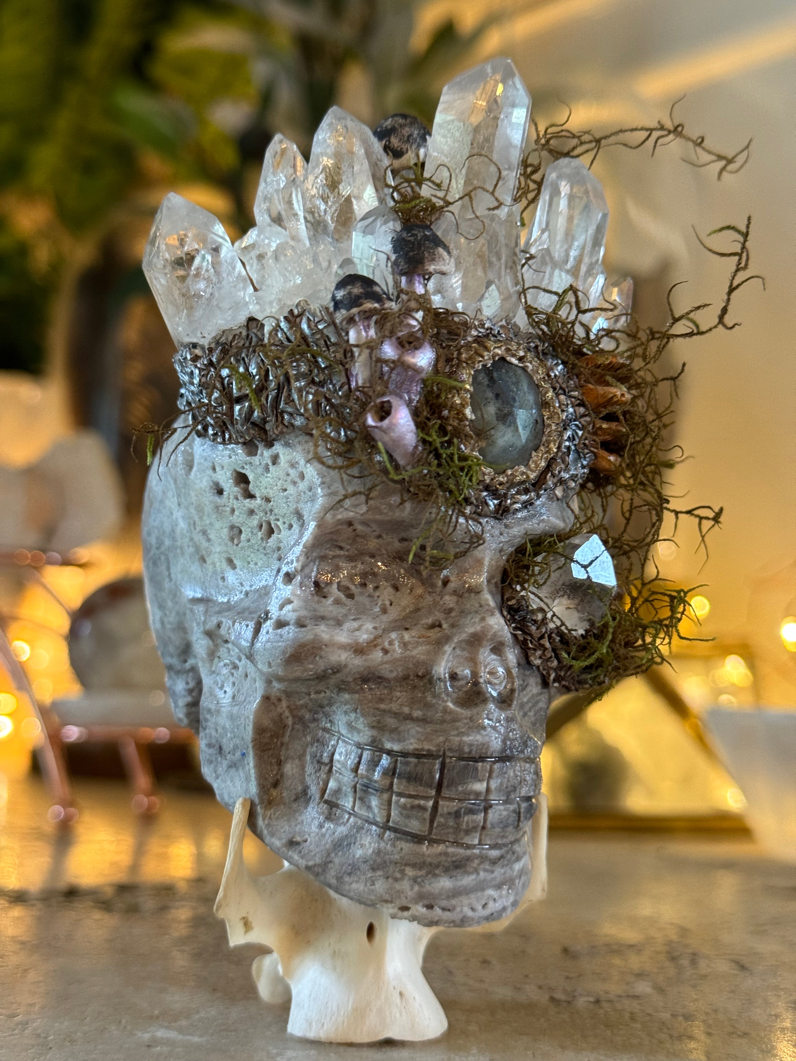 King Cordycep | Hand sculpted Sphalerite Skull