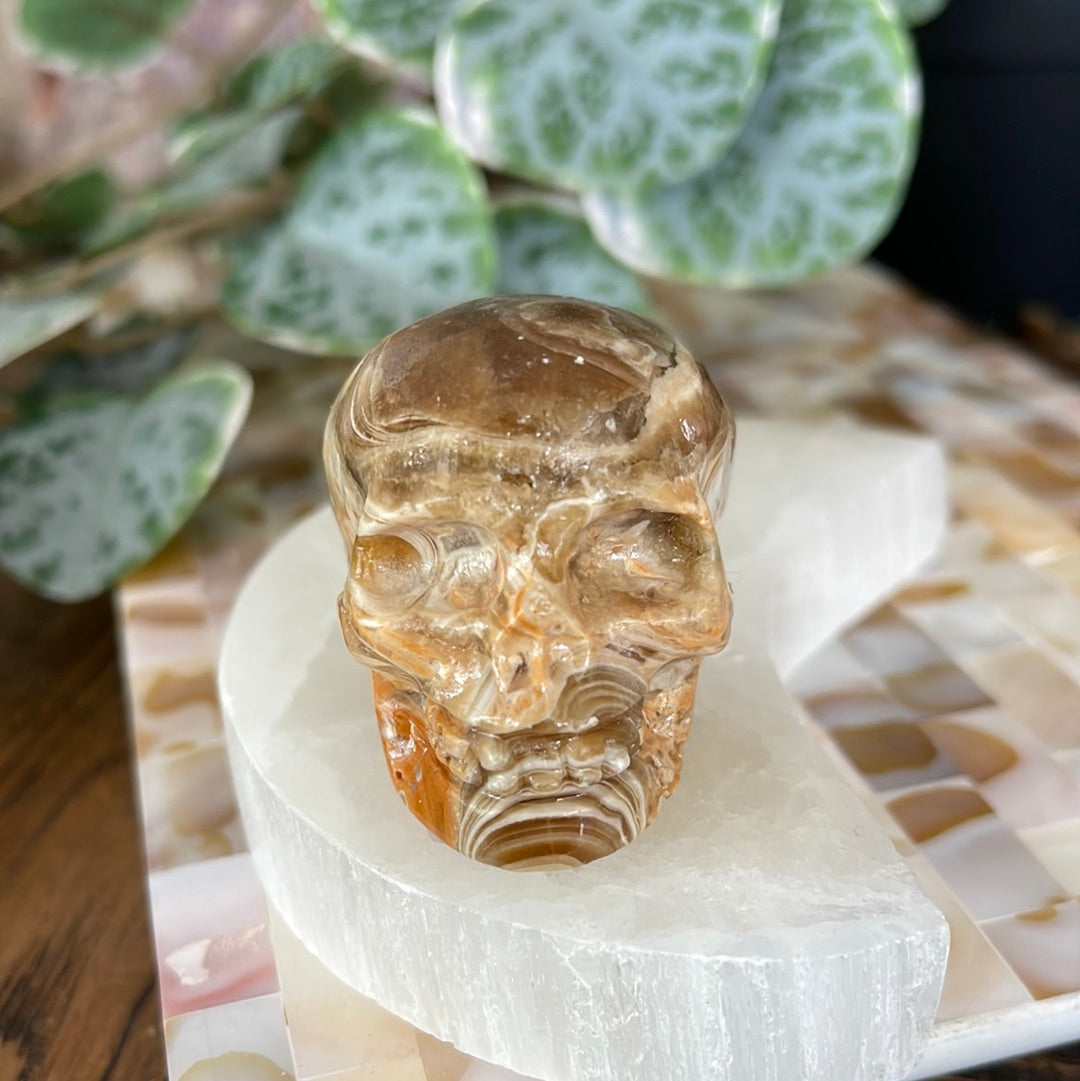 Chocolate Calcite Skull Carving