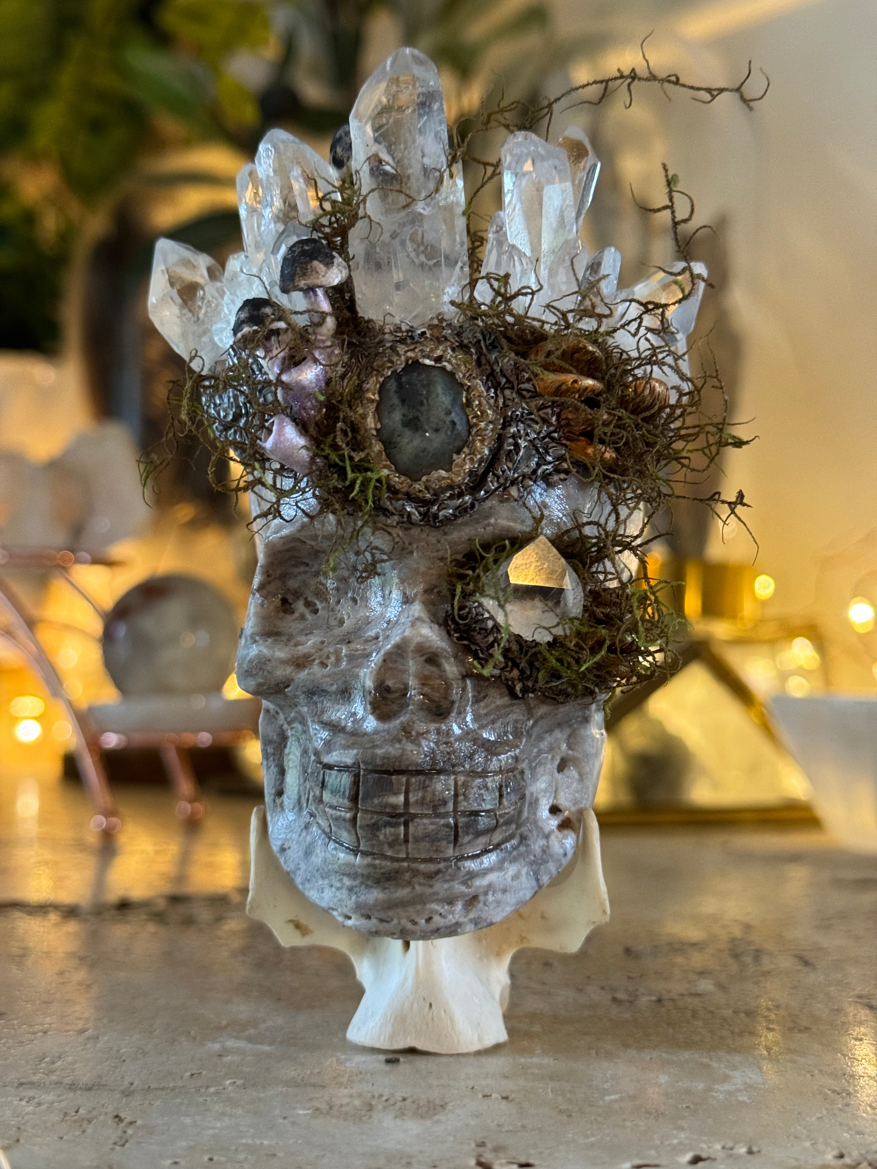 King Cordycep | Hand sculpted Sphalerite Skull