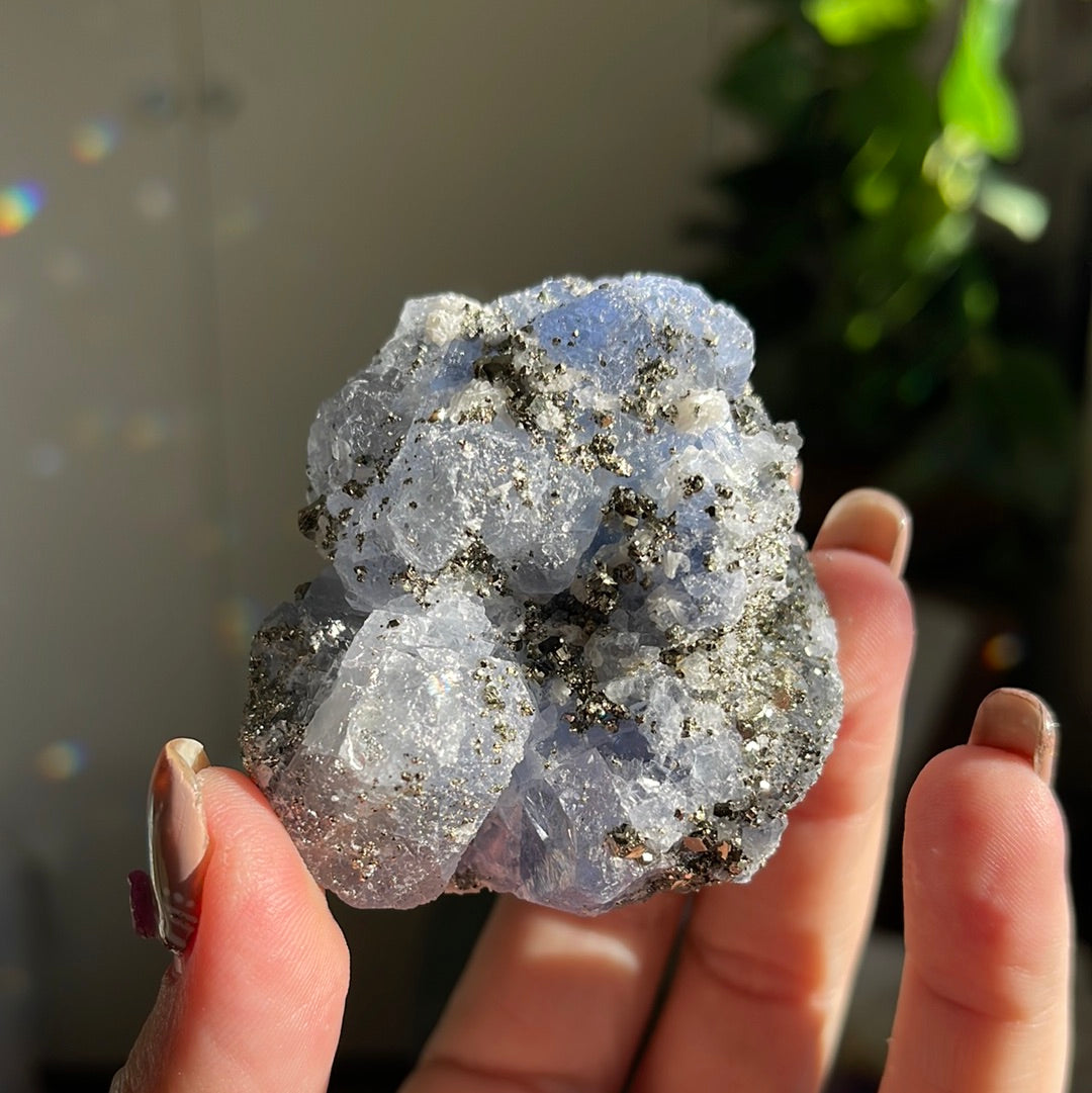Rare Blue Fluorite With Pyrite Cluster
