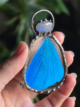 Morpho and moonstone
