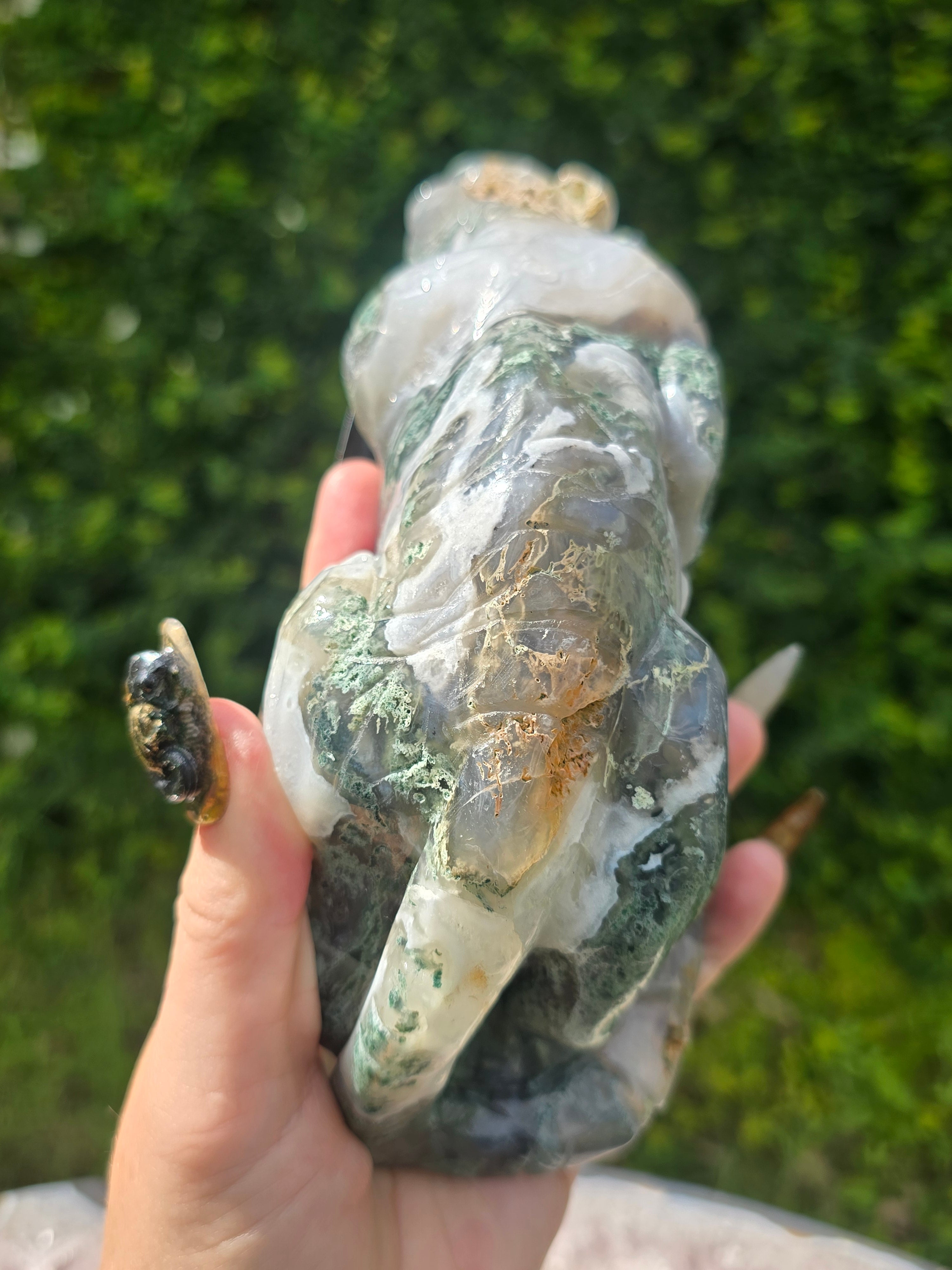Moss Agate Tiger #7