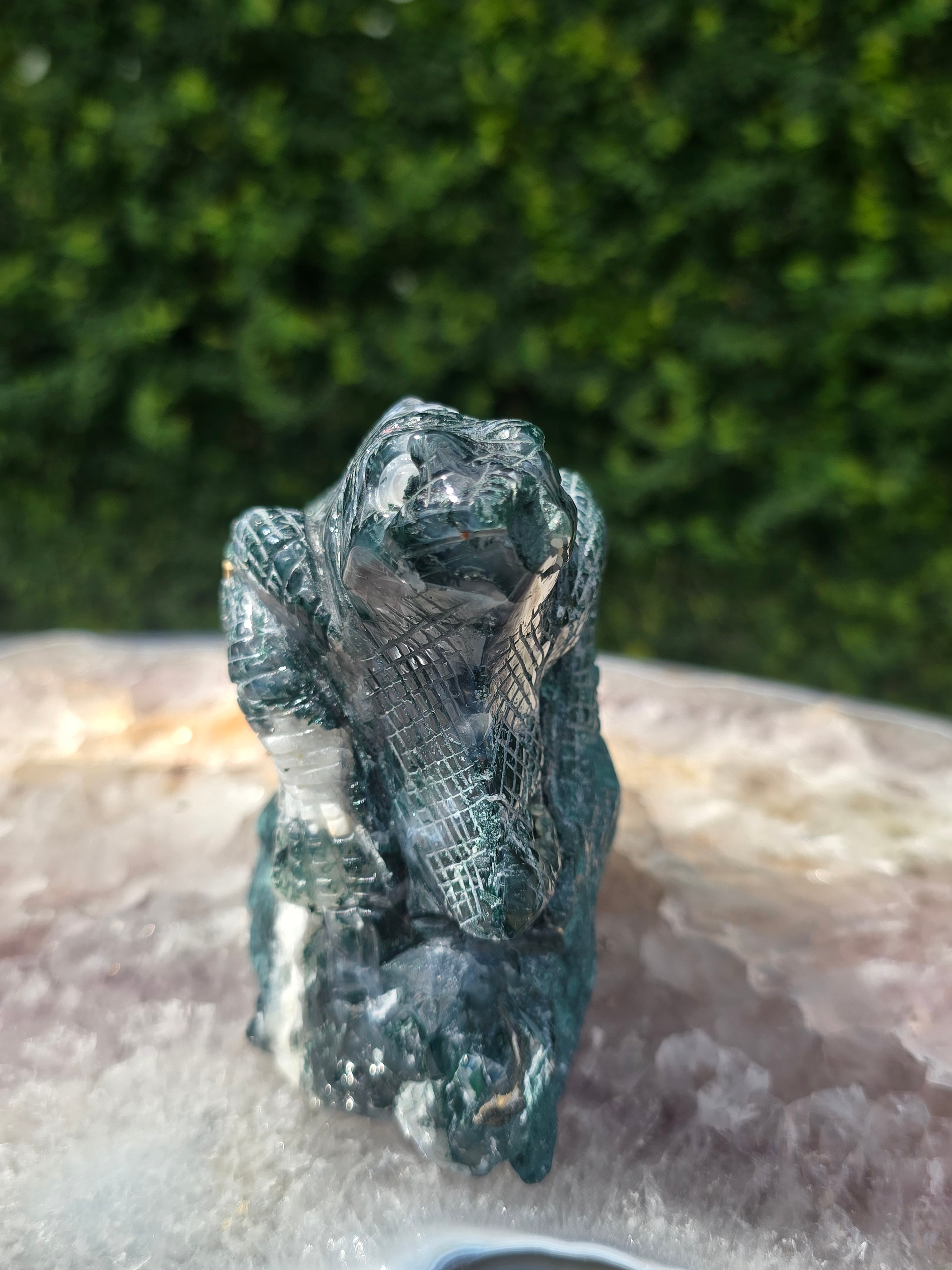 Moss Agate Lizard #6