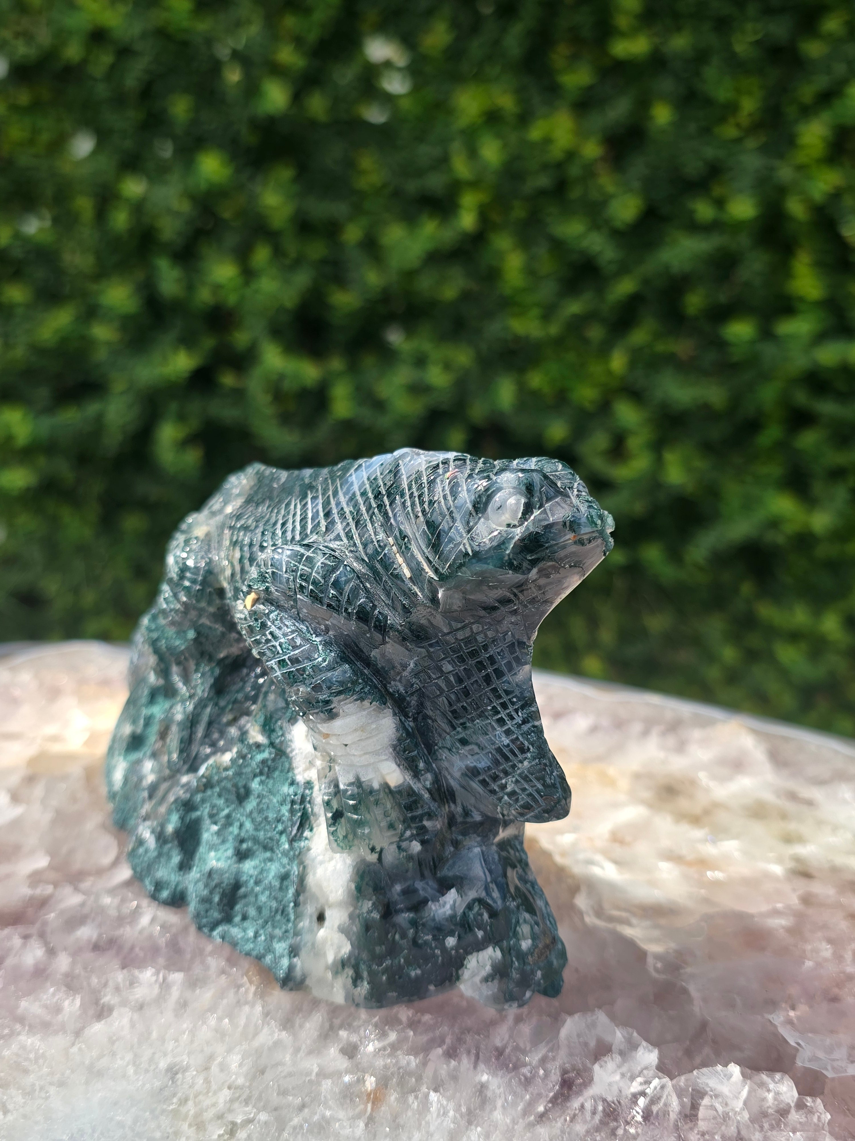 Moss Agate Lizard #6