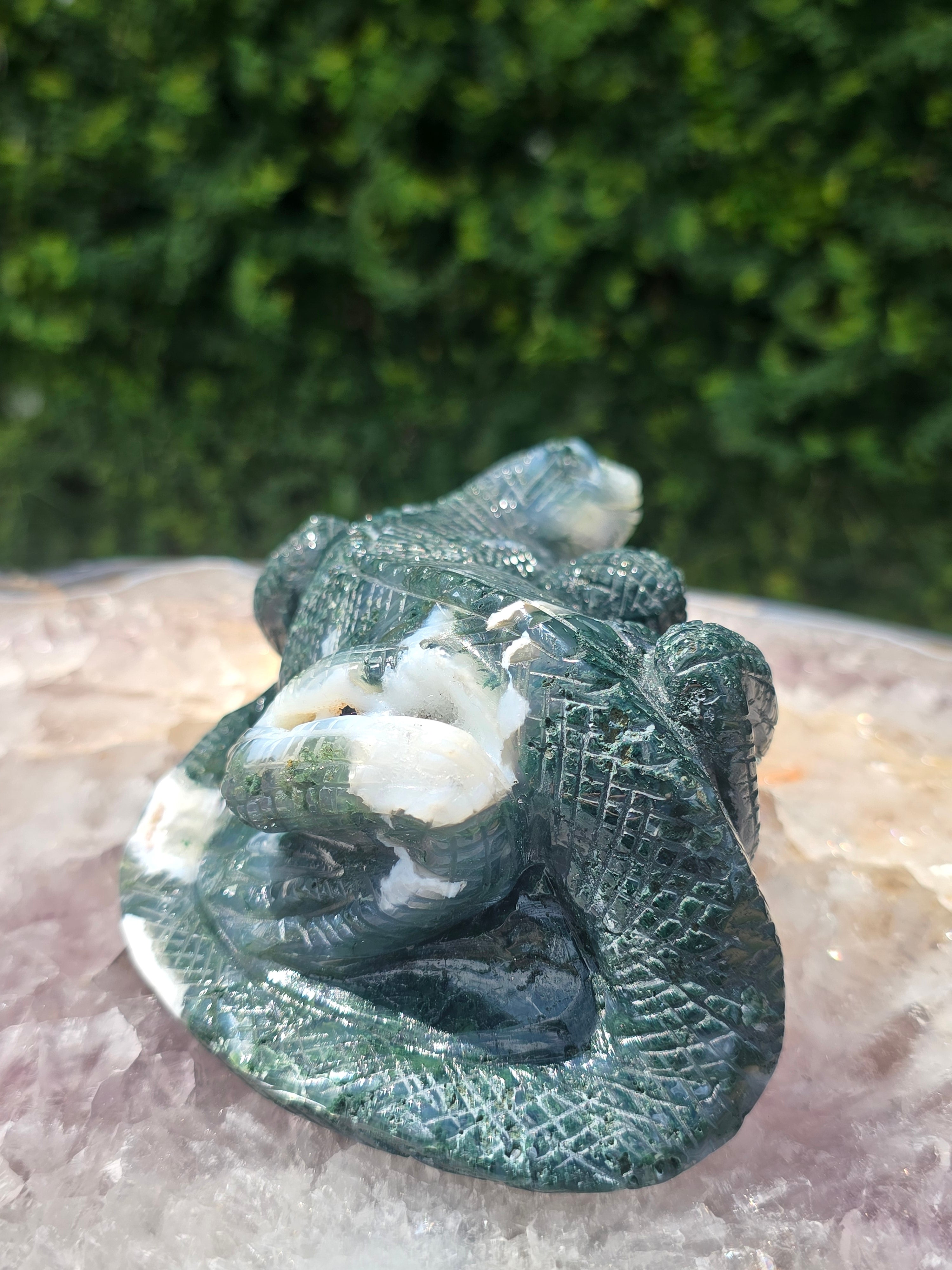 Moss Agate Lizard #13