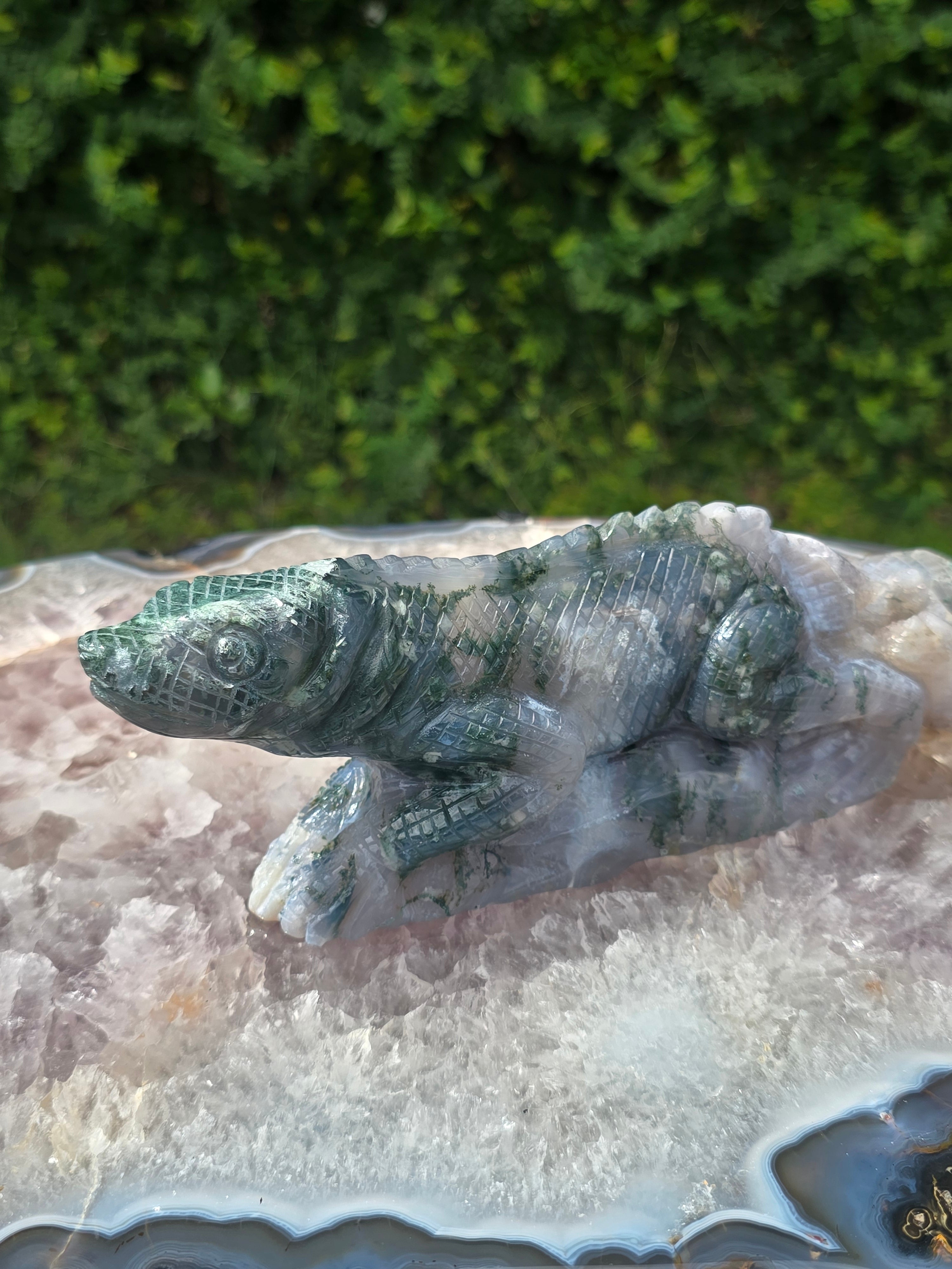 Moss Agate Lizard #8