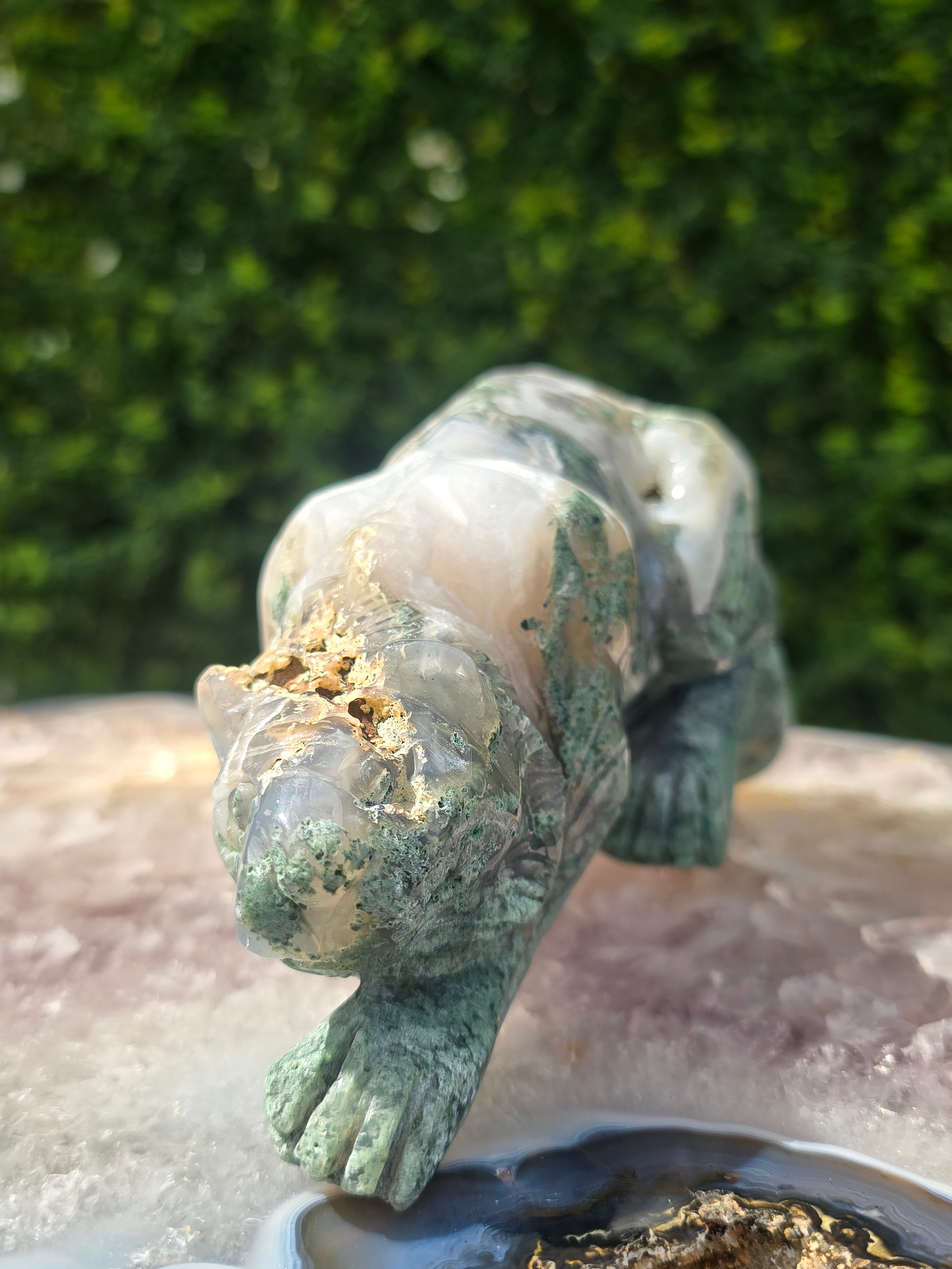 Moss Agate Tiger #7