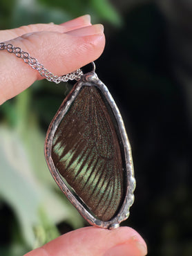 The Butterfly Collector Necklace