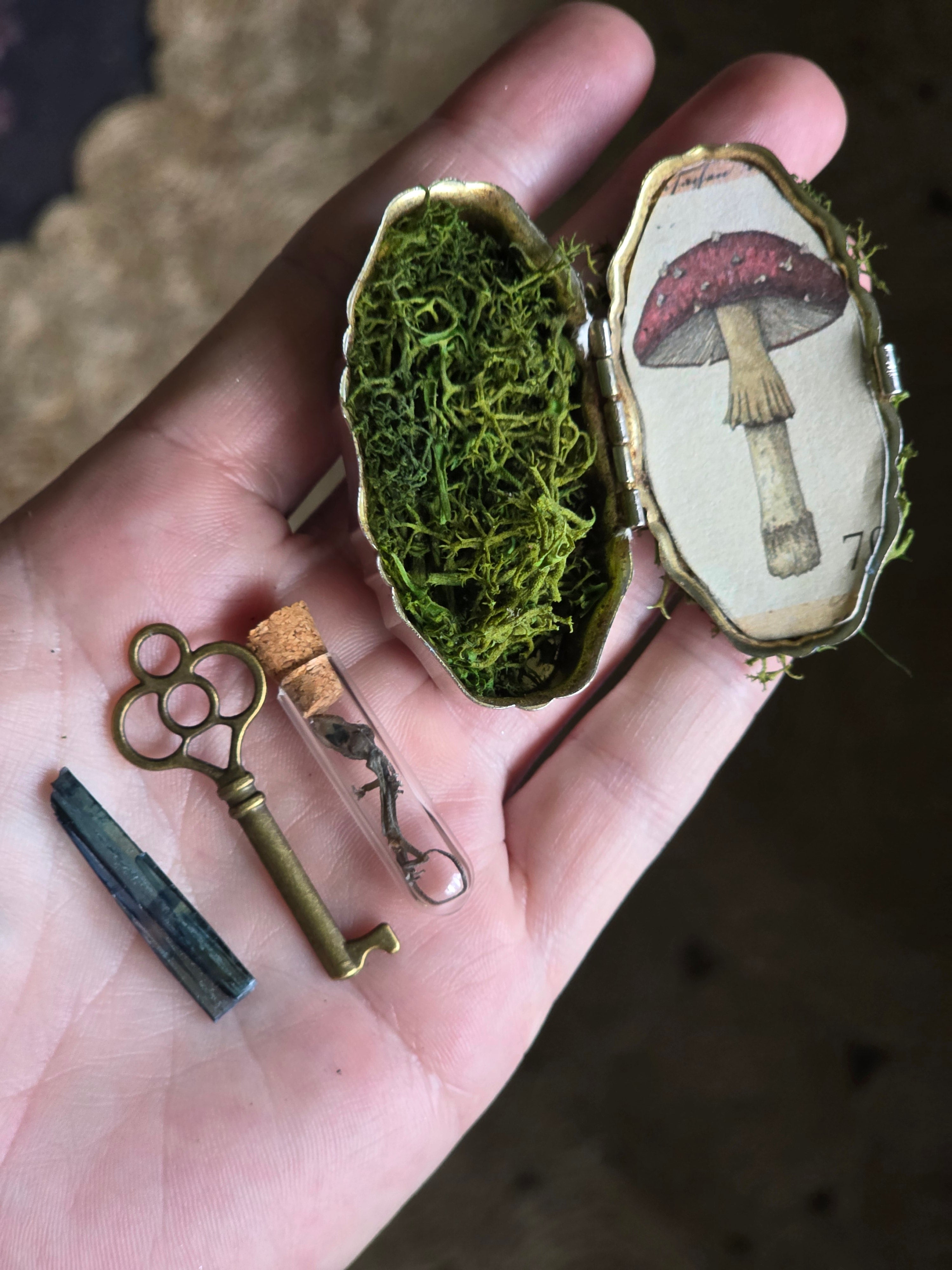🍄 The Mushroom Keeper's Reliquary