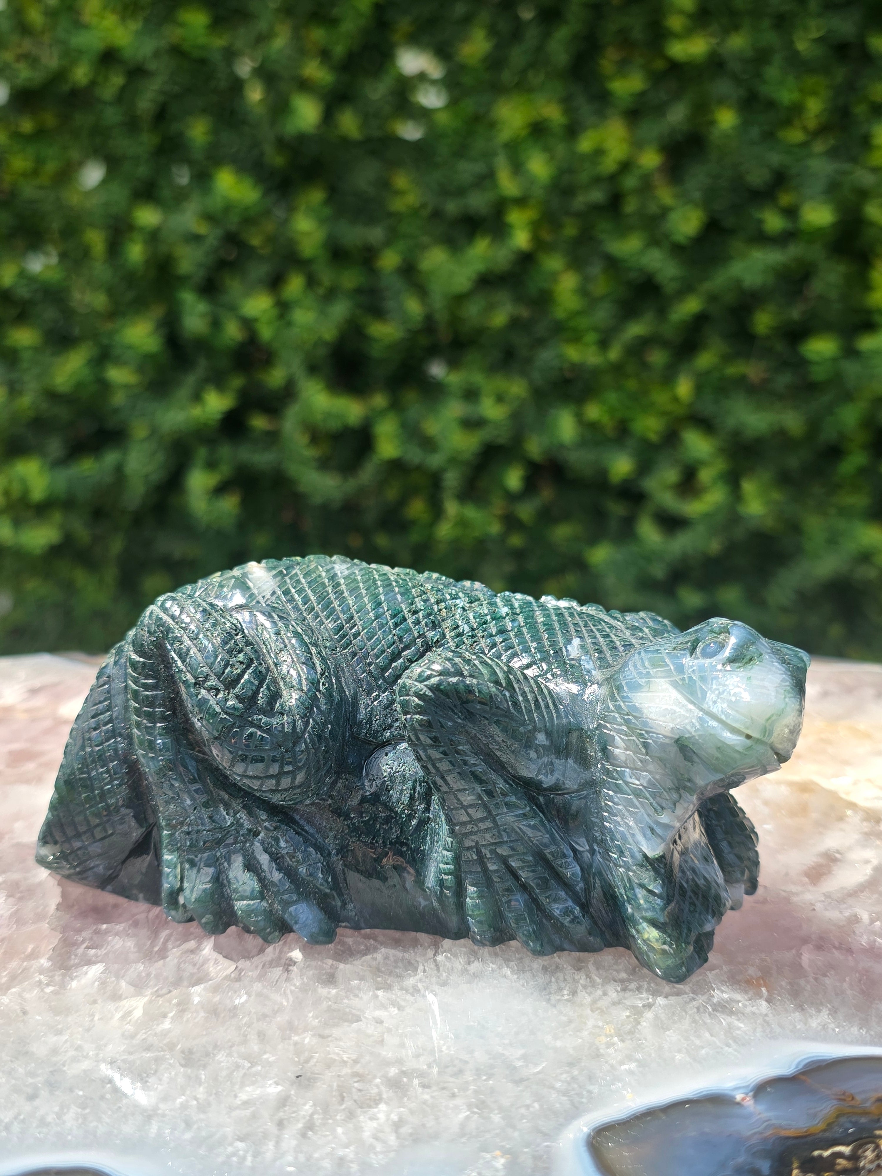 Moss Agate Lizard #13