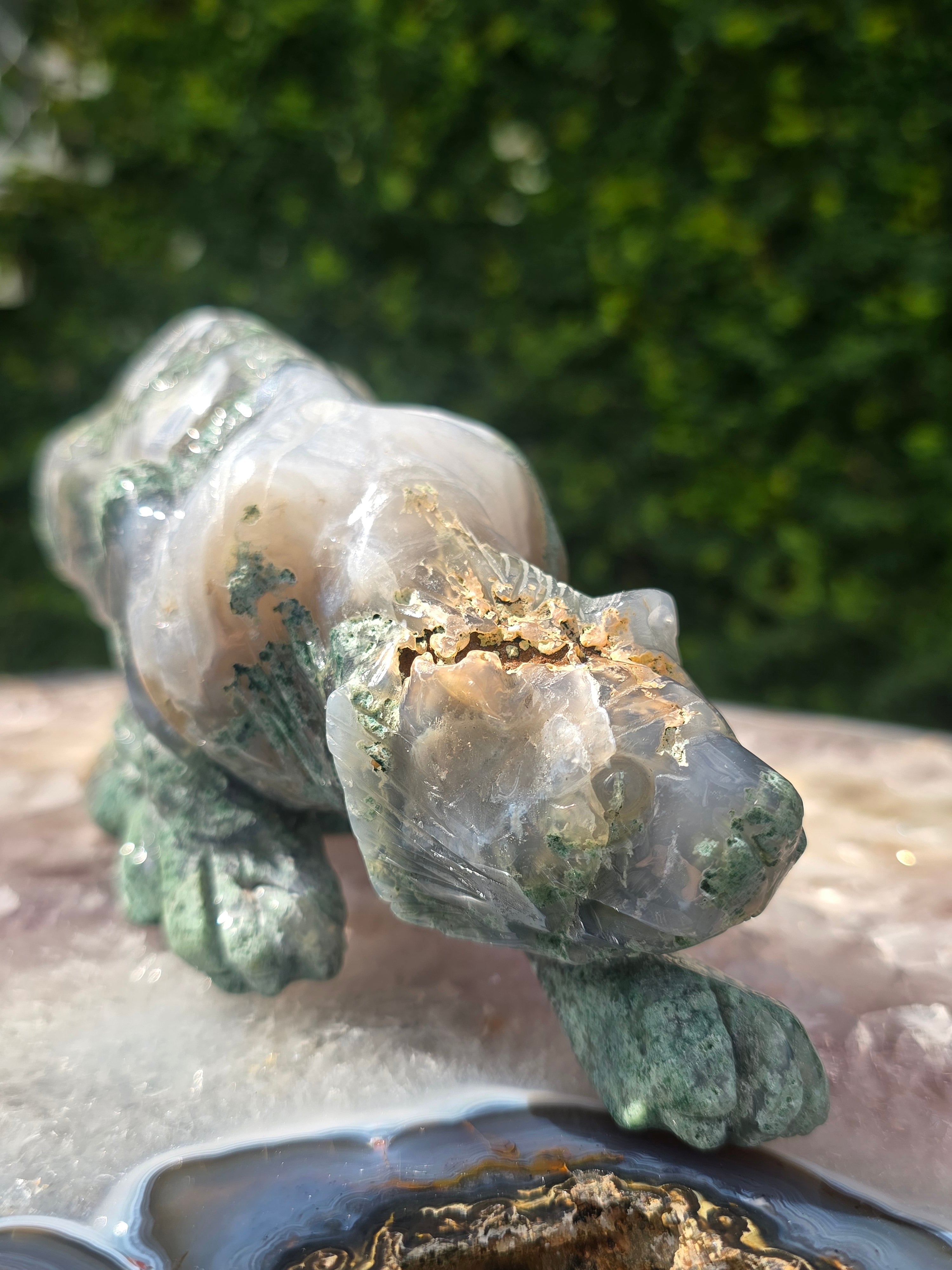Moss Agate Tiger #7