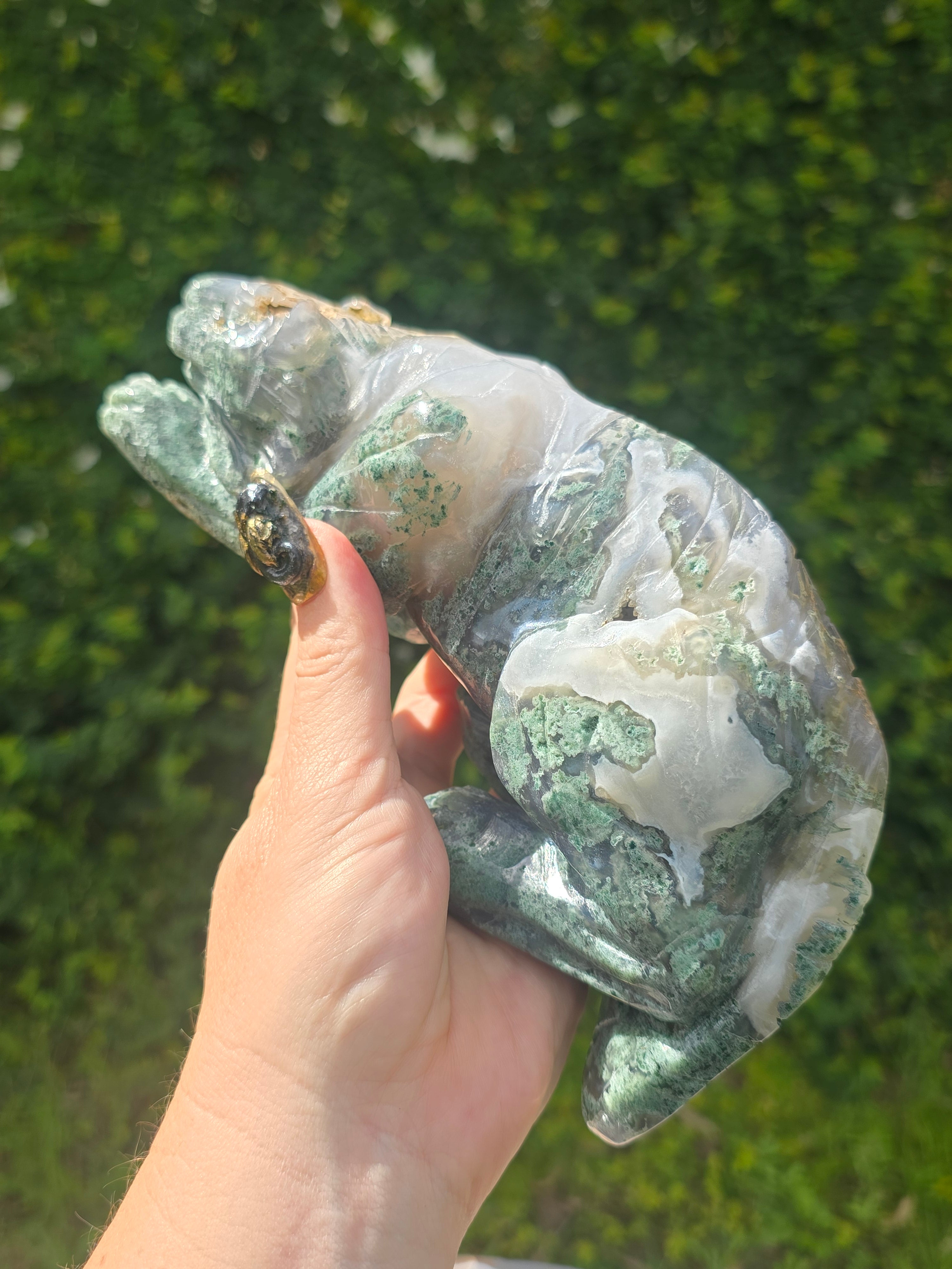 Moss Agate Tiger #7