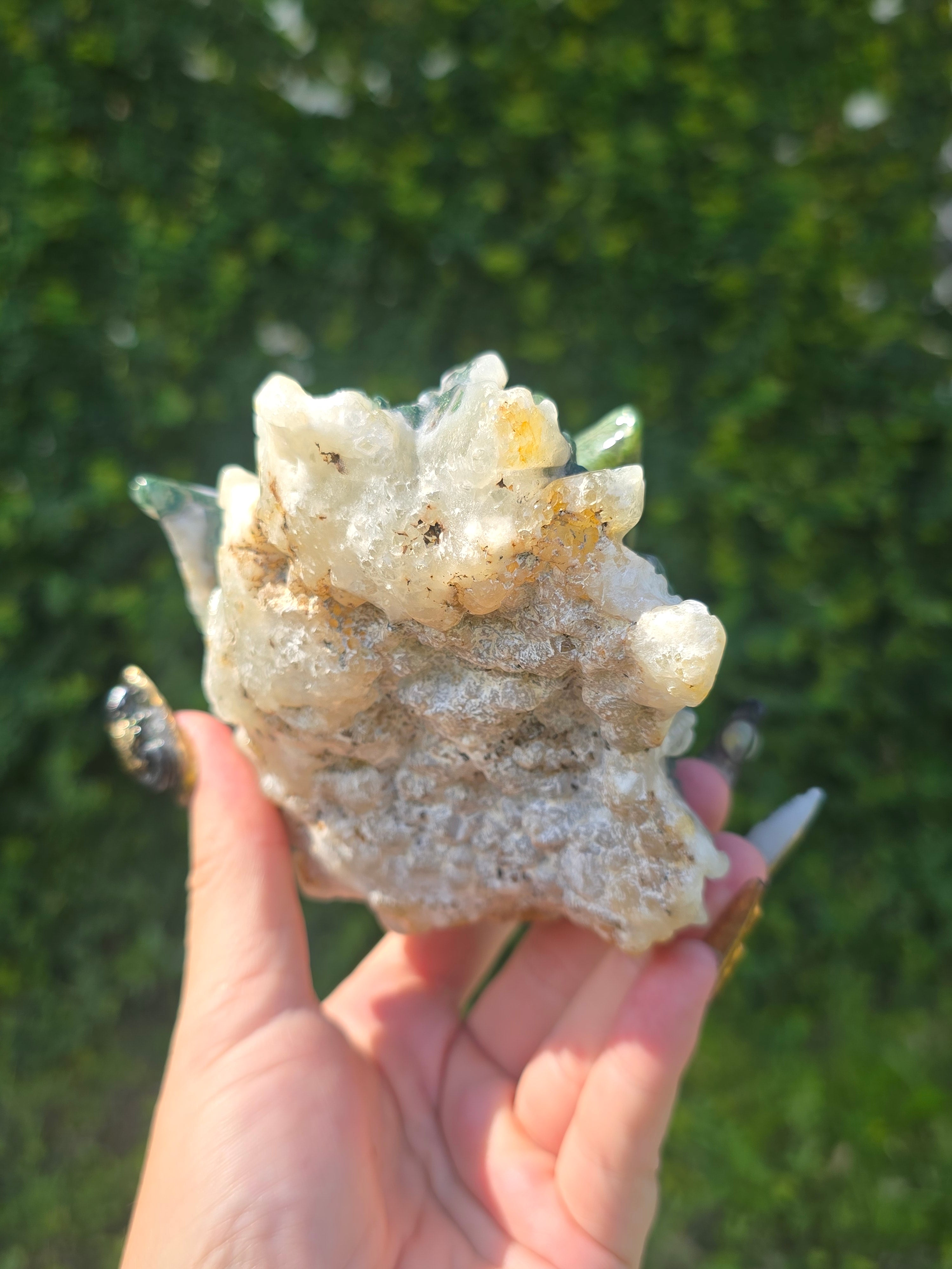 Moss Agate Wolf Head
