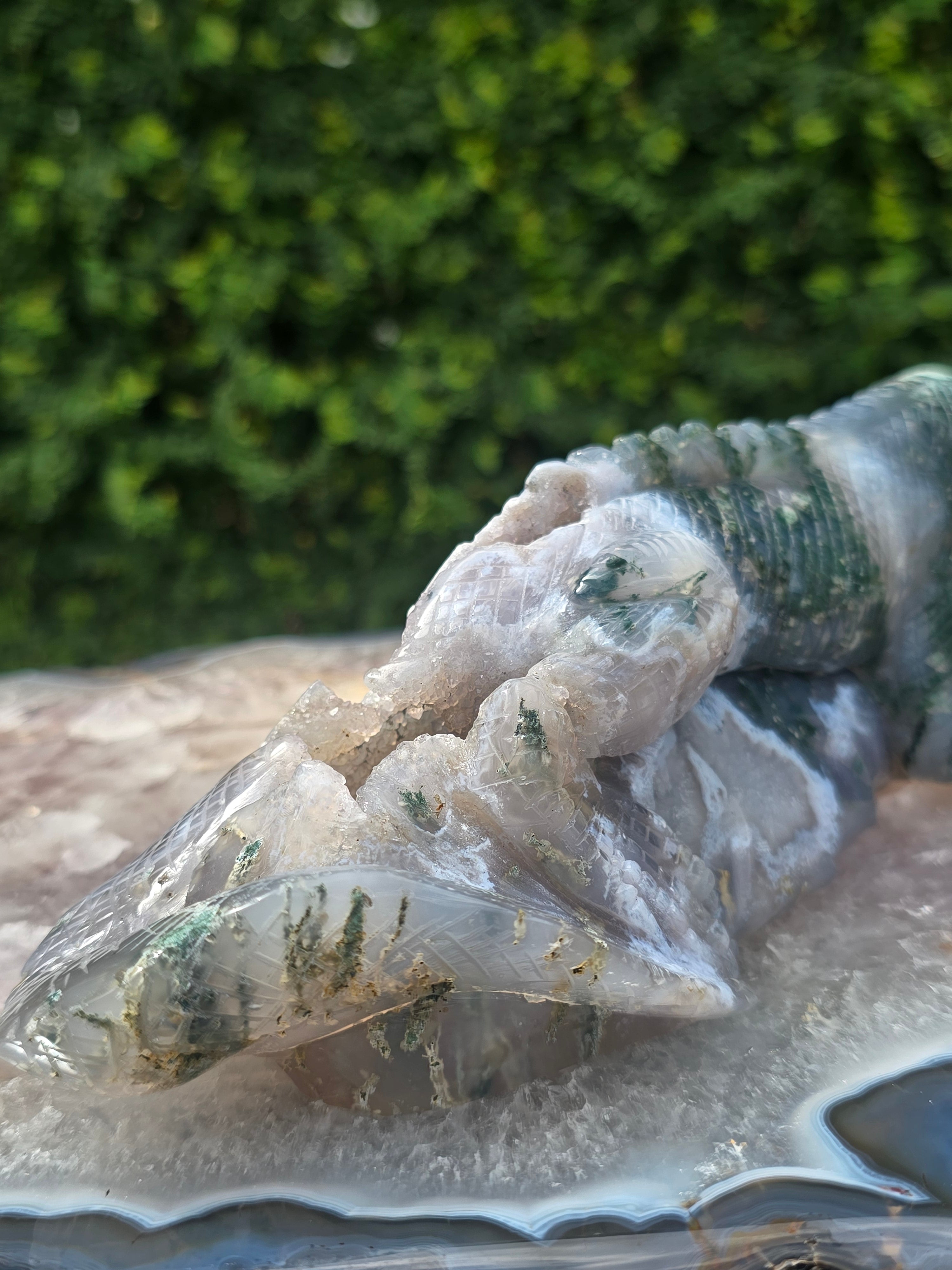 Moss Agate Lizard #8