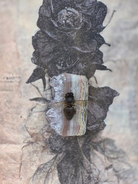 The Mourning Apiary