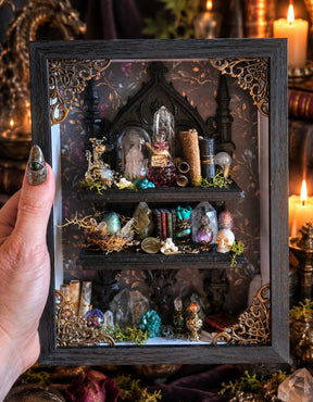 Dragon Keeper Framed Oddity