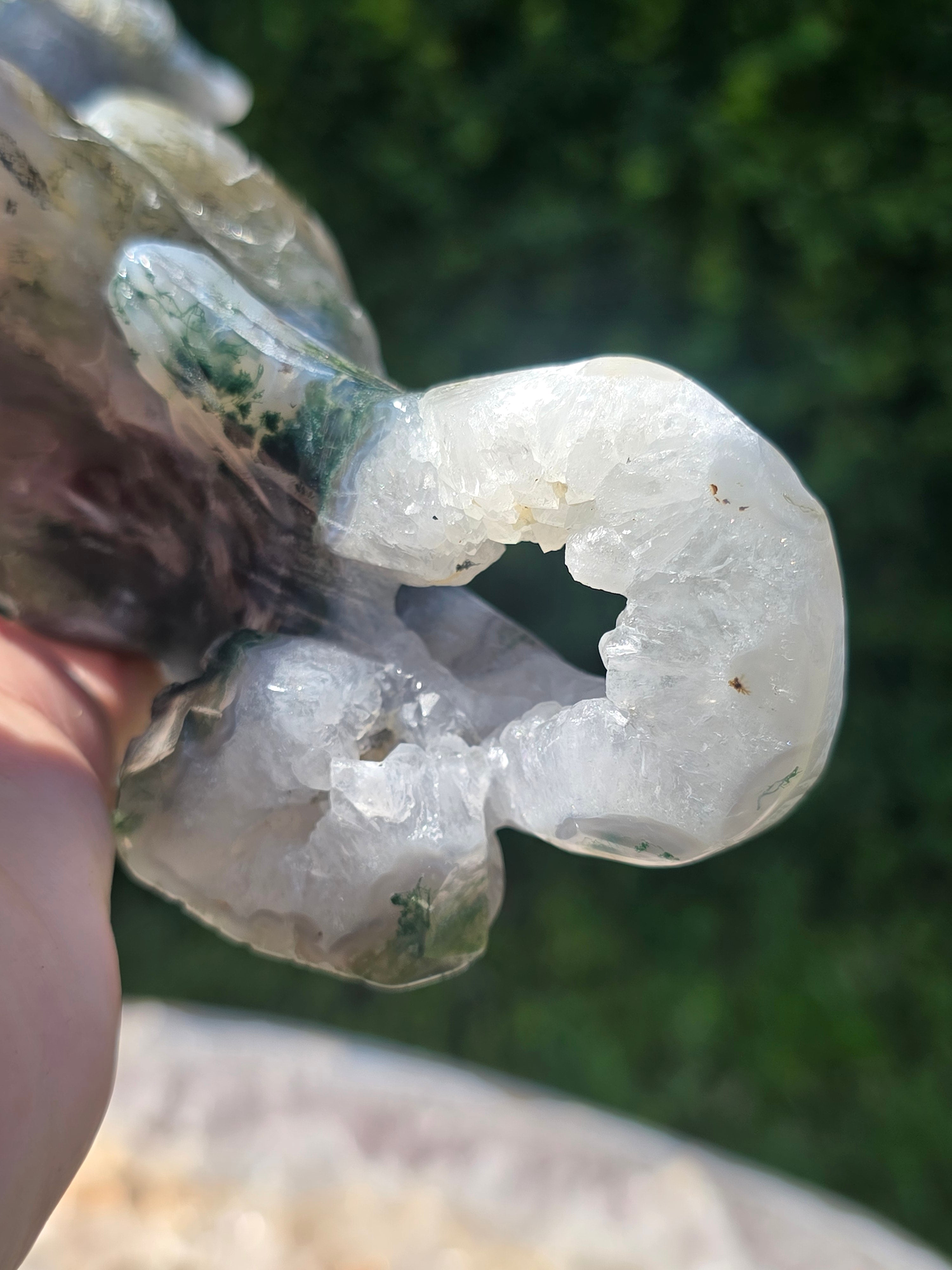 Moss Agate Tiger #3