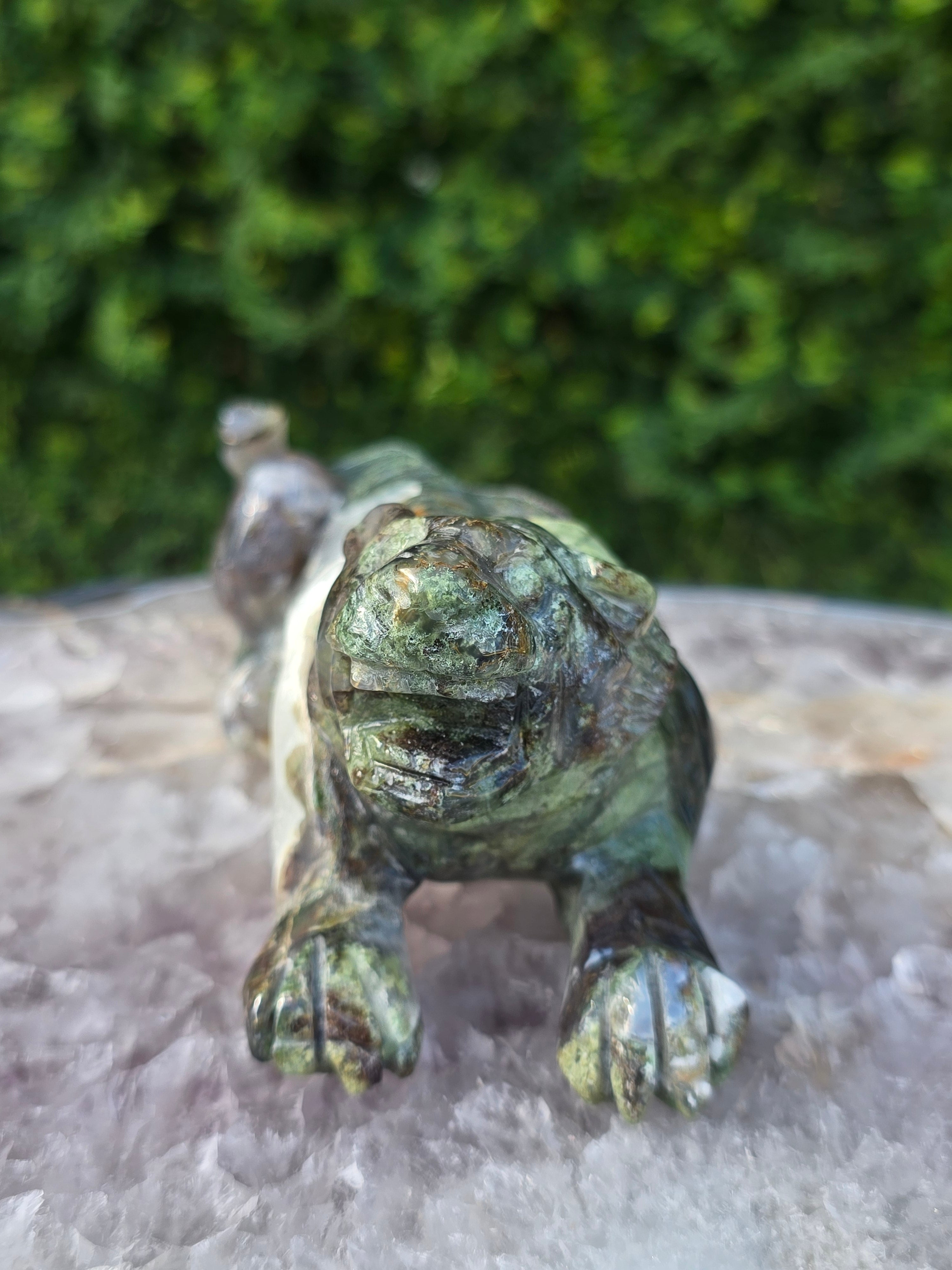Moss Agate Tiger #1