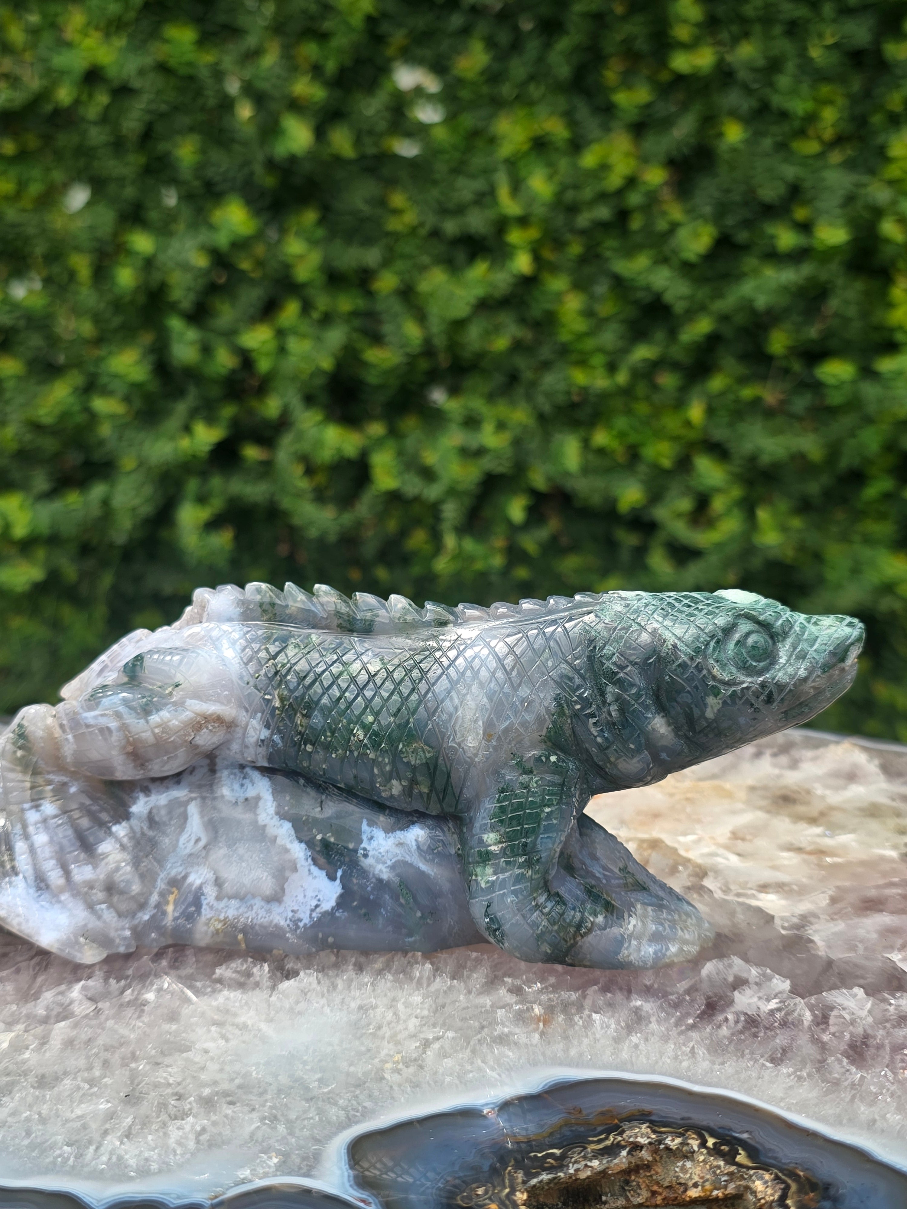 Moss Agate Lizard #8