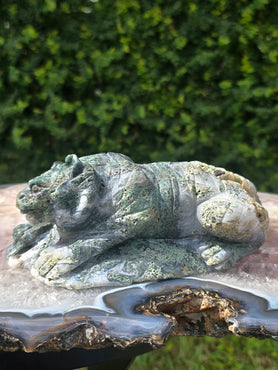 Moss Agate Tiger #6