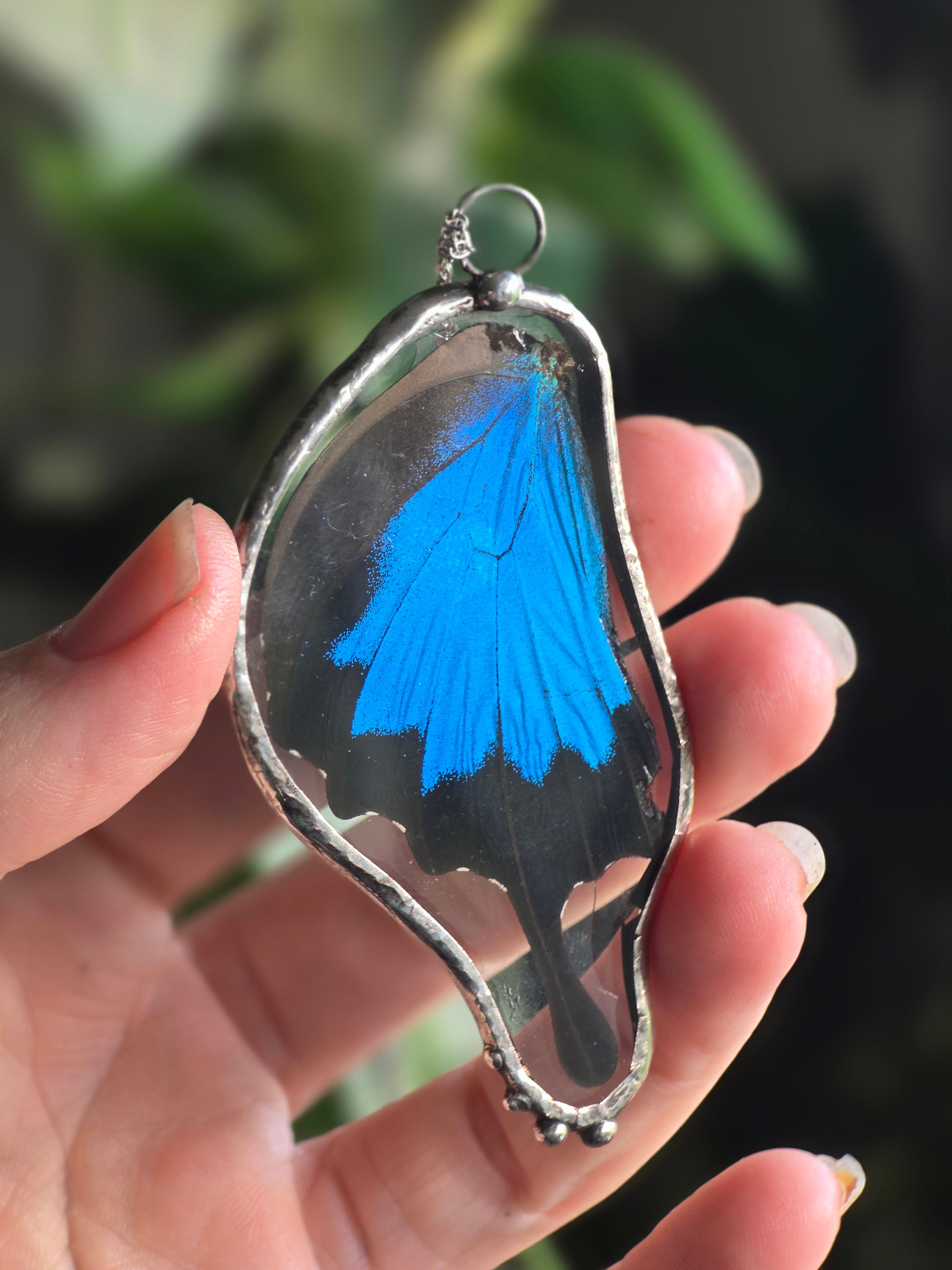 Azure Dream Wing Necklace