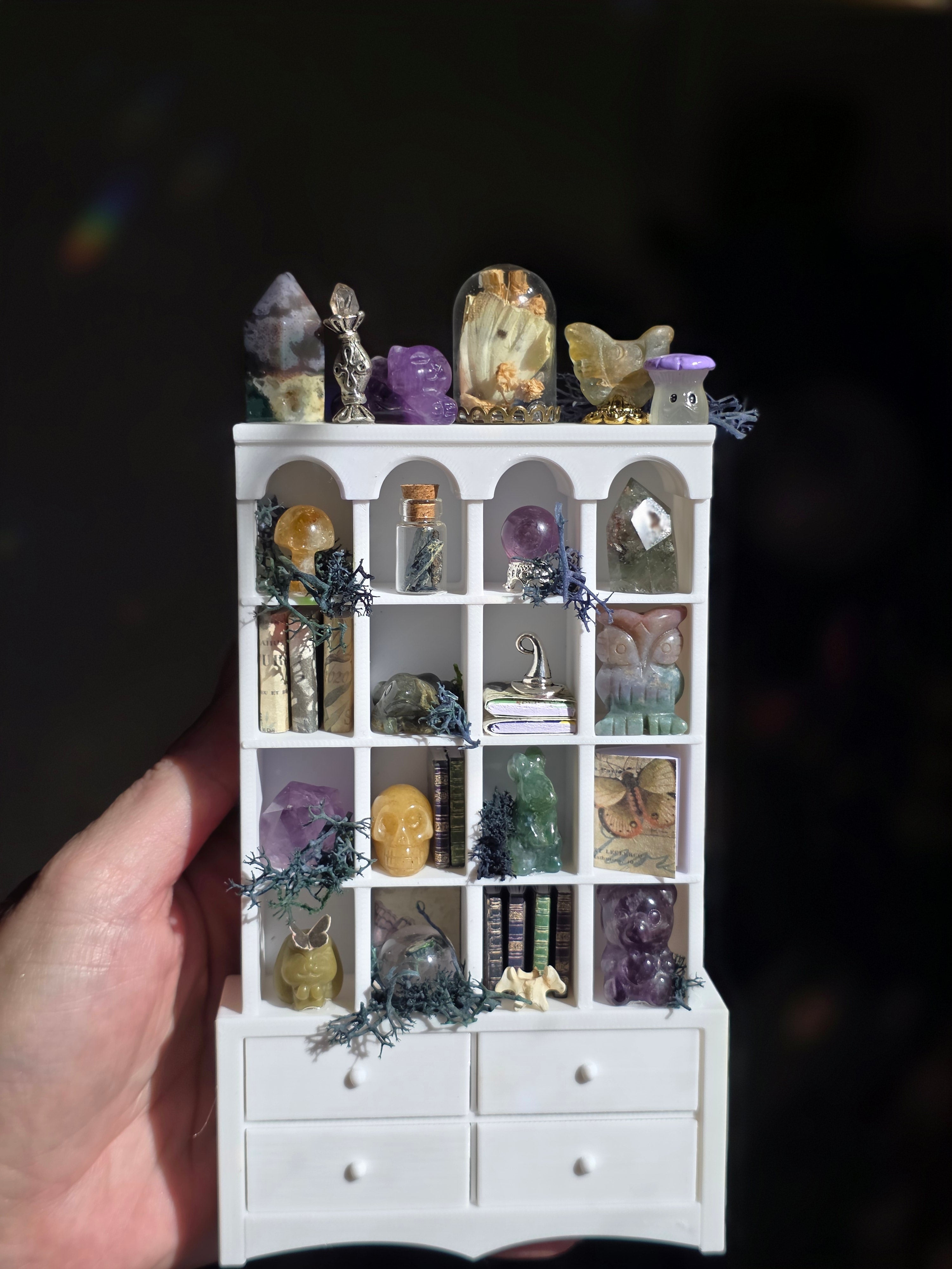 The Enchanted Curiosity Cabinet