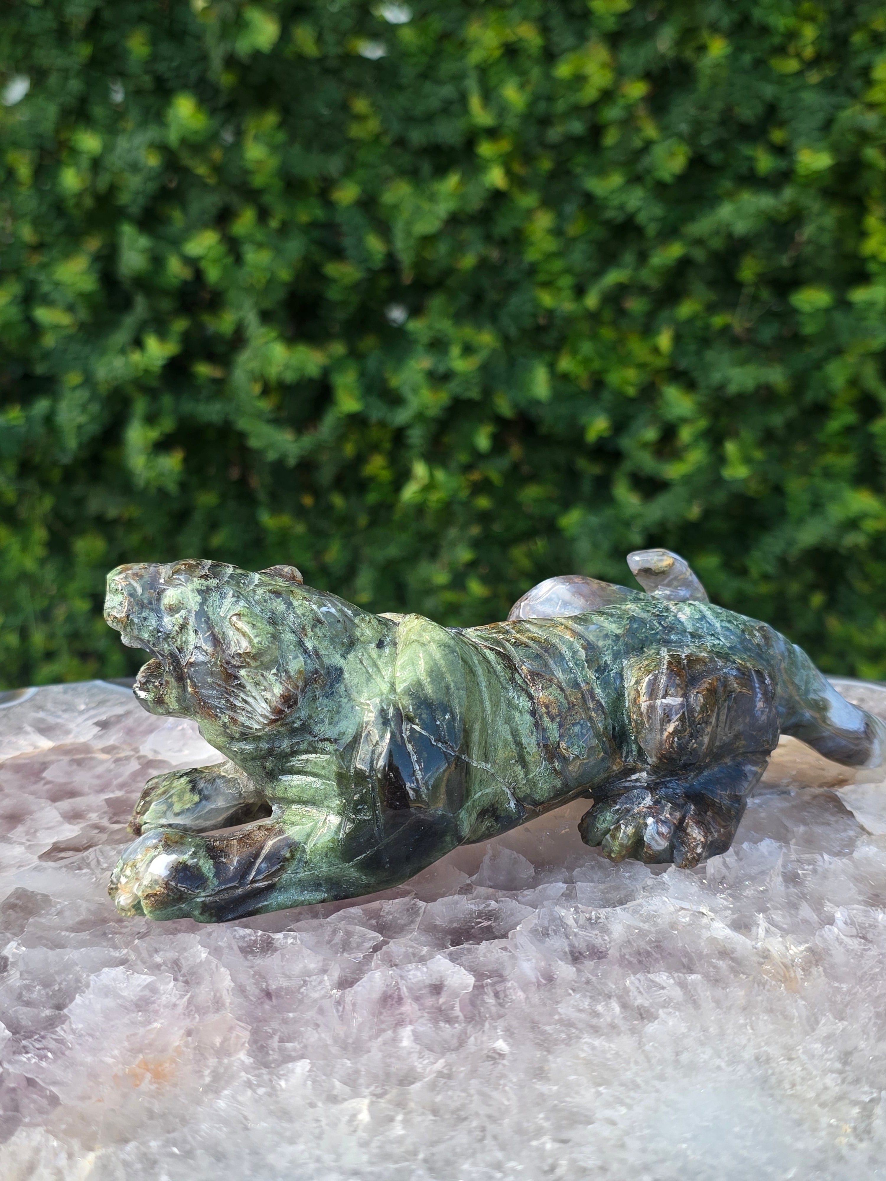 Moss Agate Tiger #1