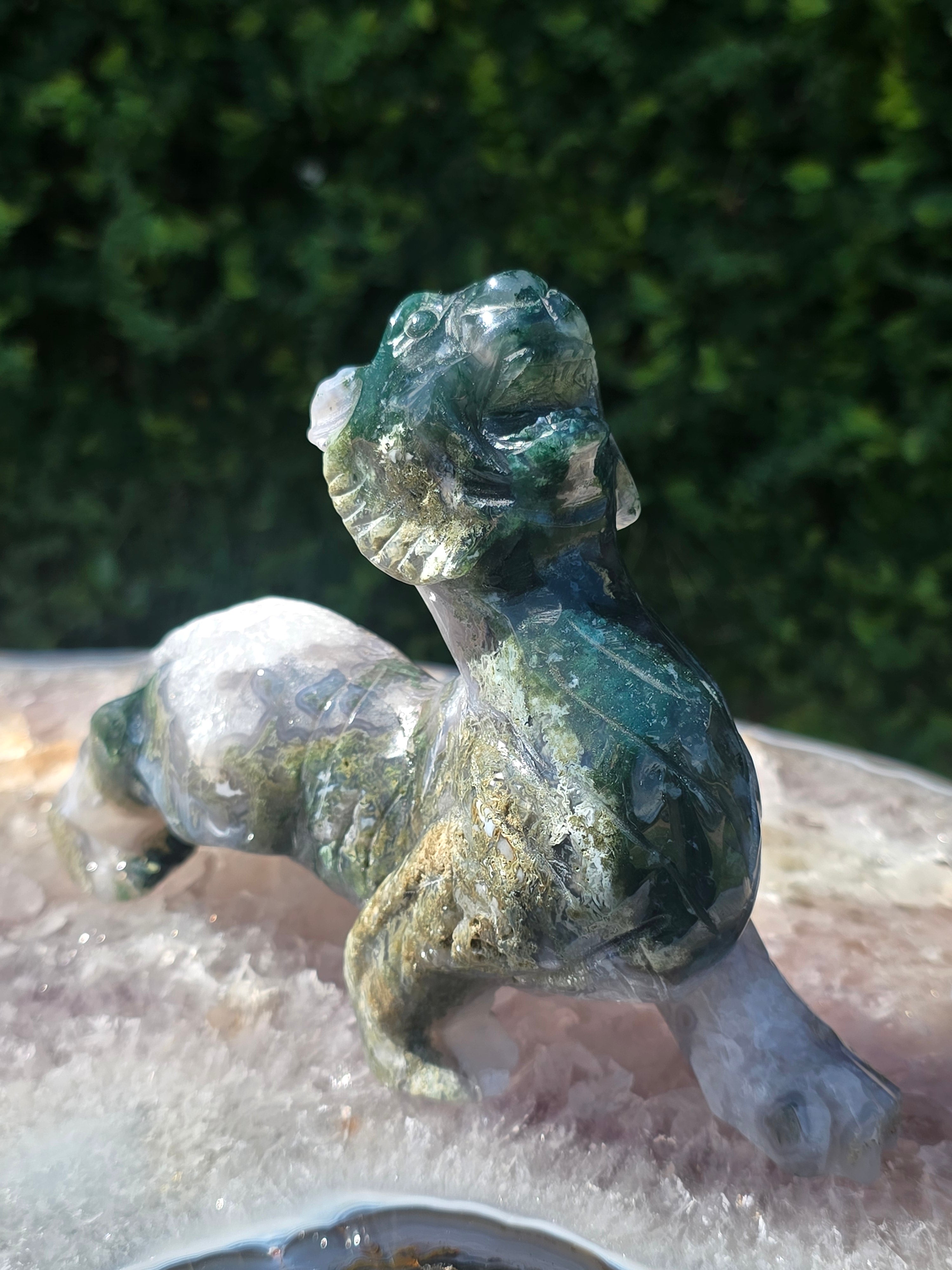 Moss Agate Tiger #3