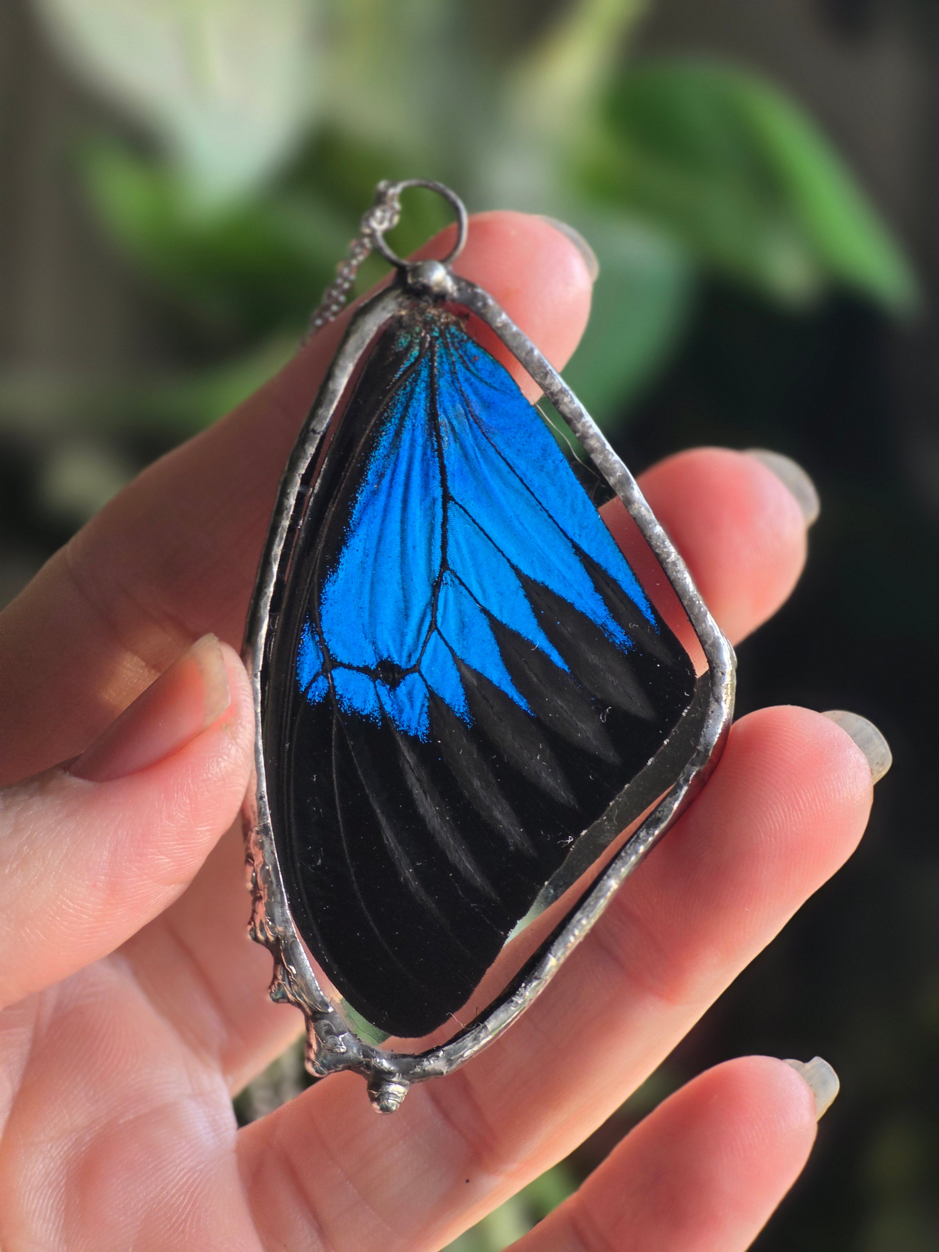 Wing of Wonder Necklace