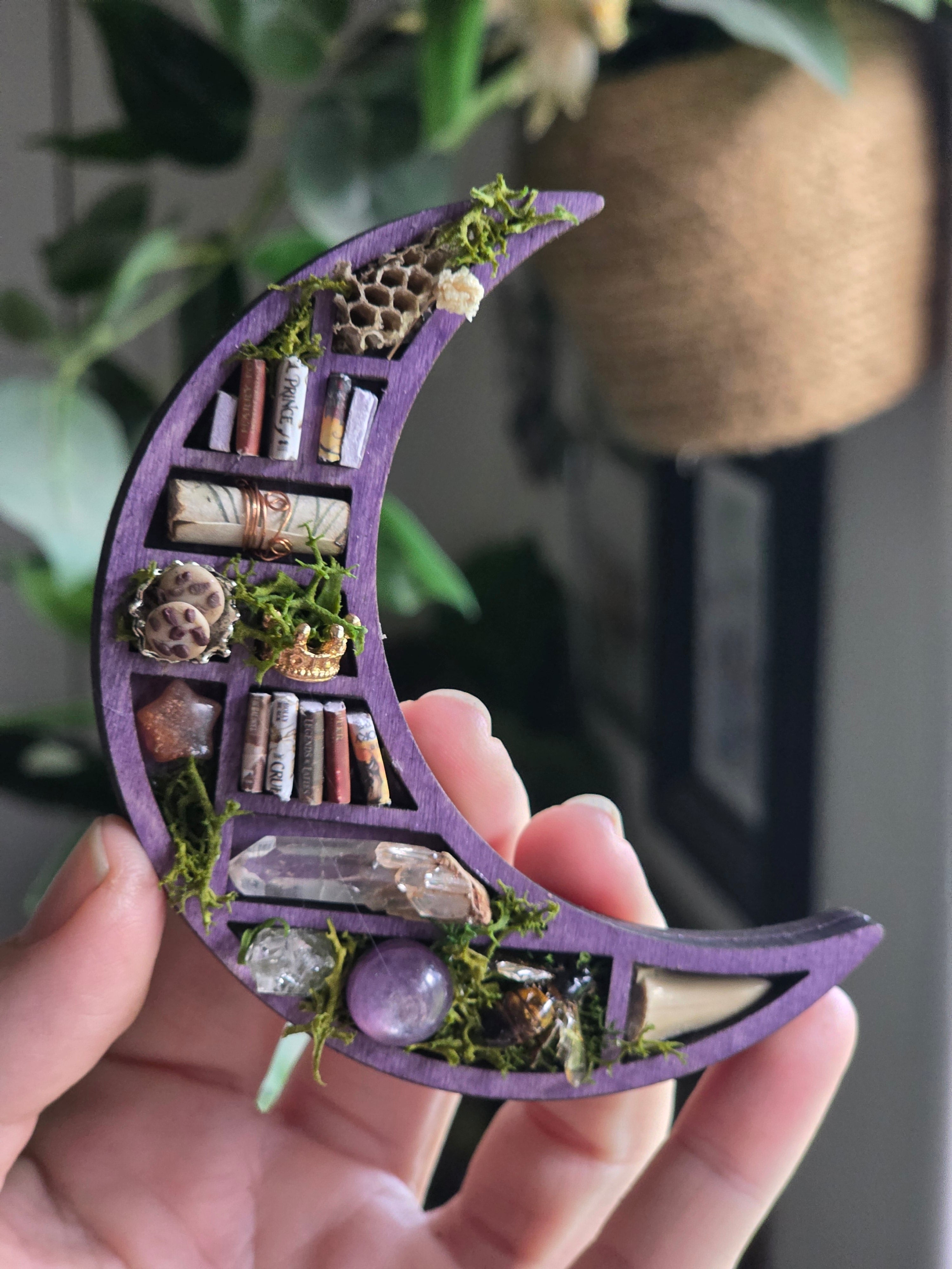 🌙 Miniature Moonlit Curiosity Shelf