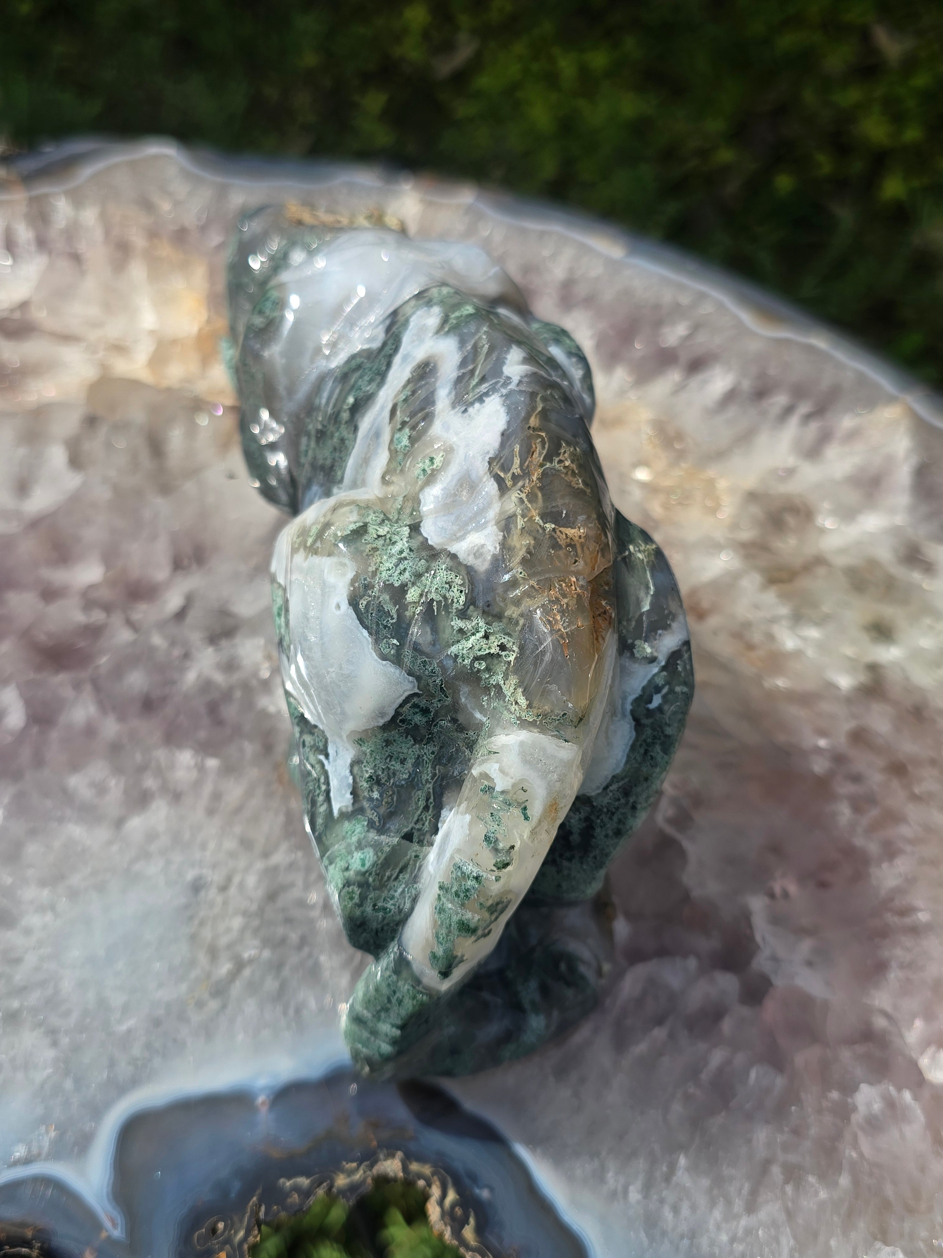 Moss Agate Tiger #7