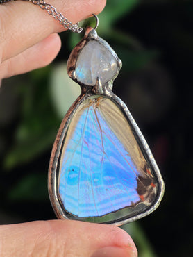 Whispers Wing Necklace