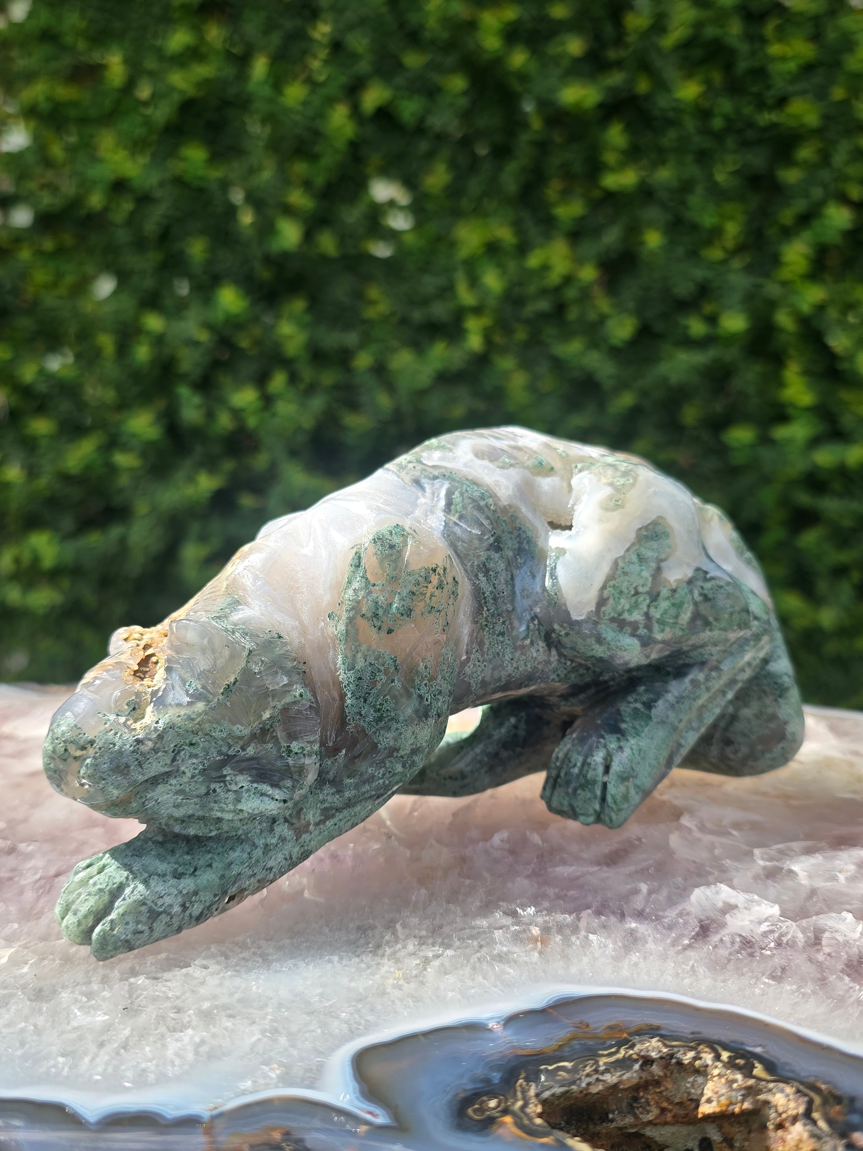 Moss Agate Tiger #7