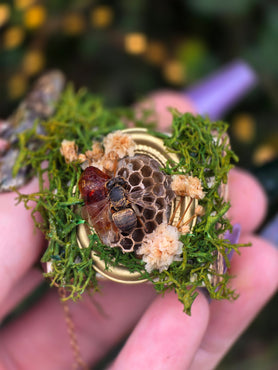 The Bee Keeper’s Forgotten Miniature Tome