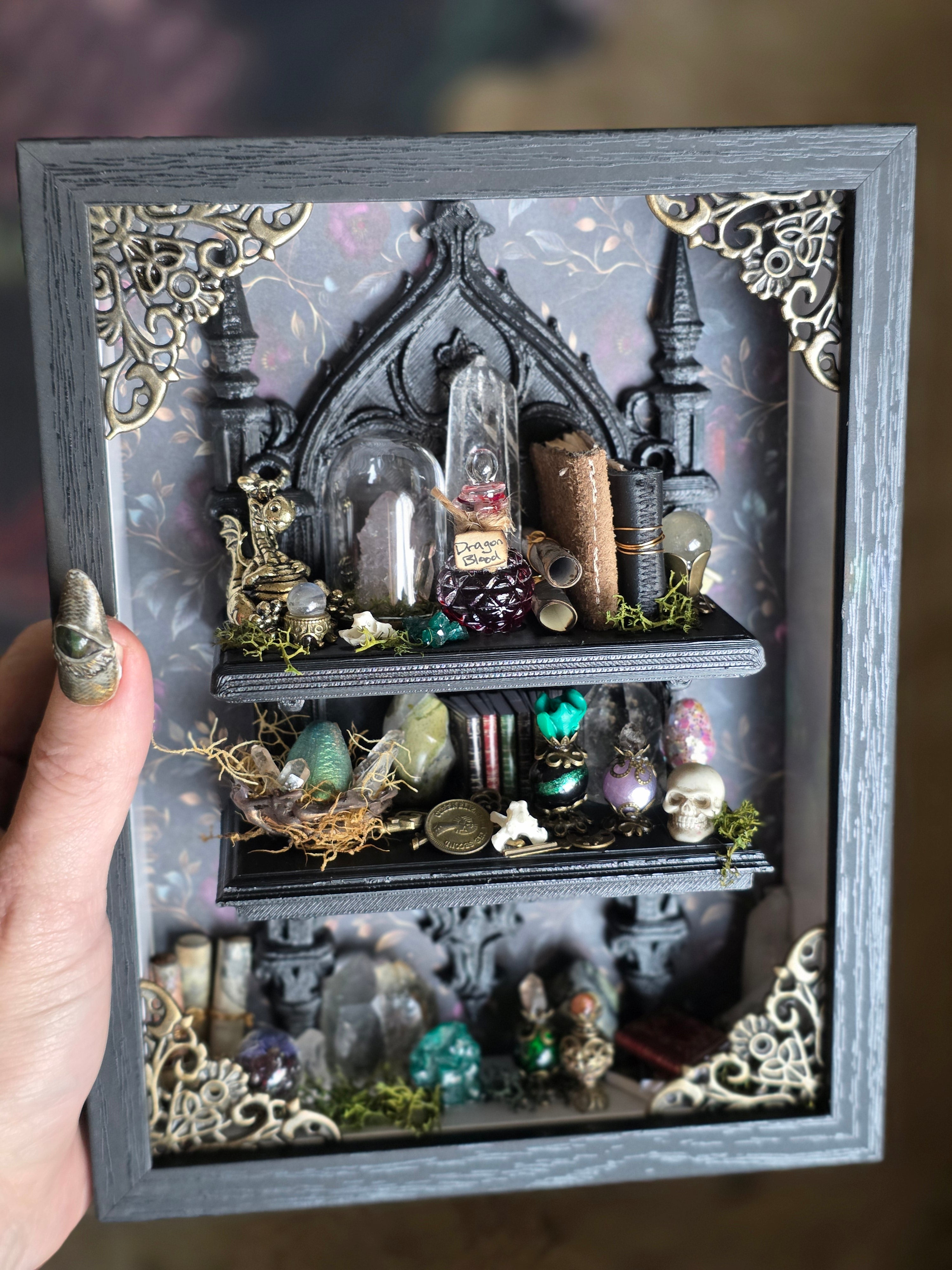 Dragon Keeper Framed Oddity