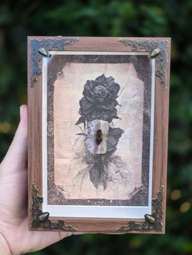 The Mourning Apiary
