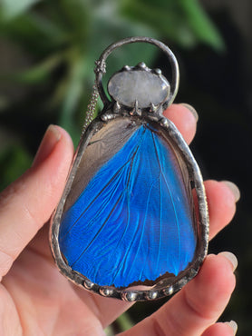 Morpho and moonstone