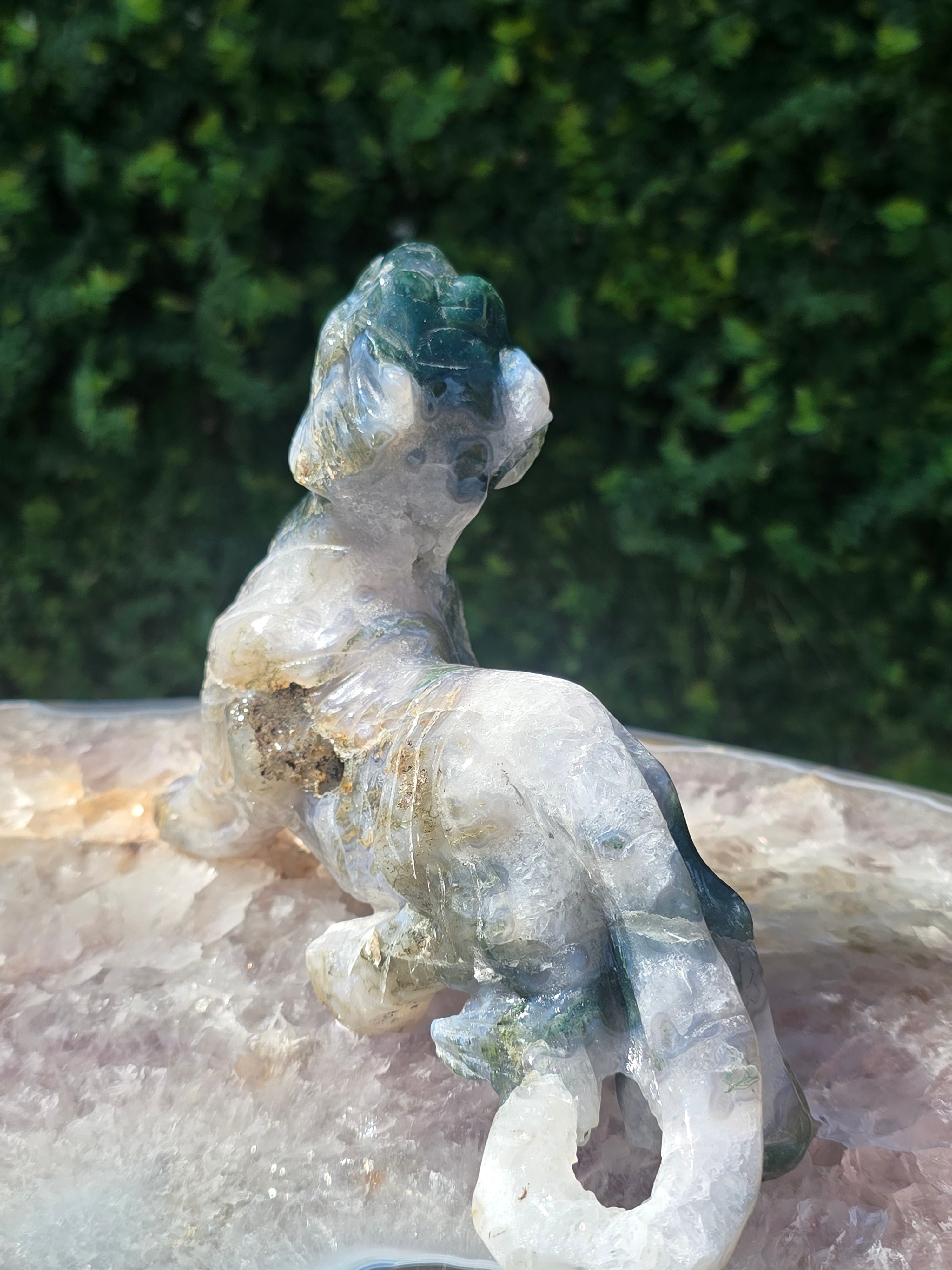 Moss Agate Tiger #3