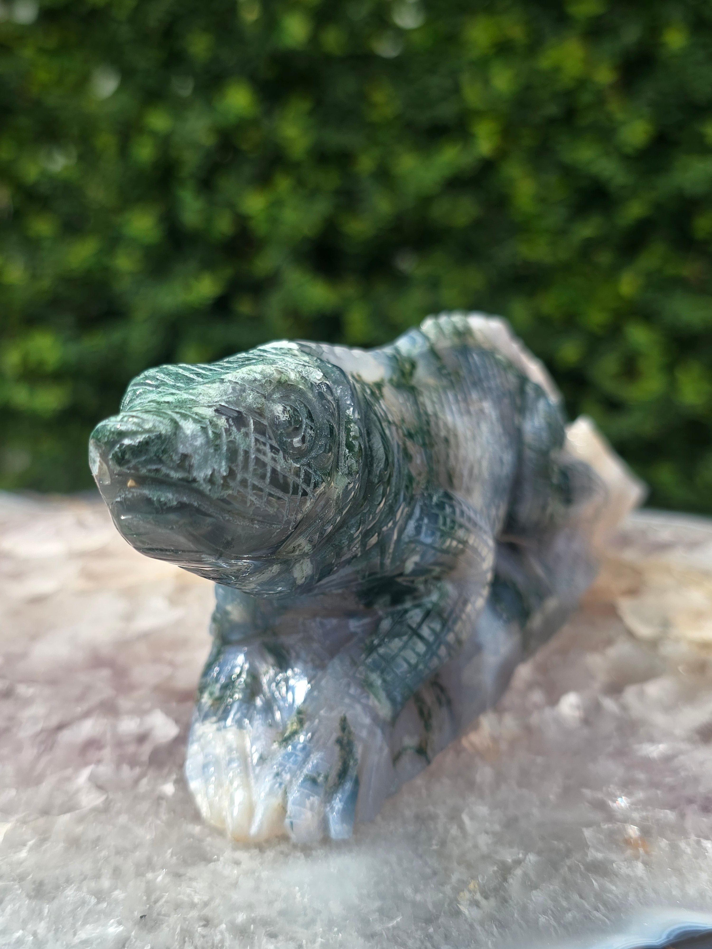 Moss Agate Lizard #8